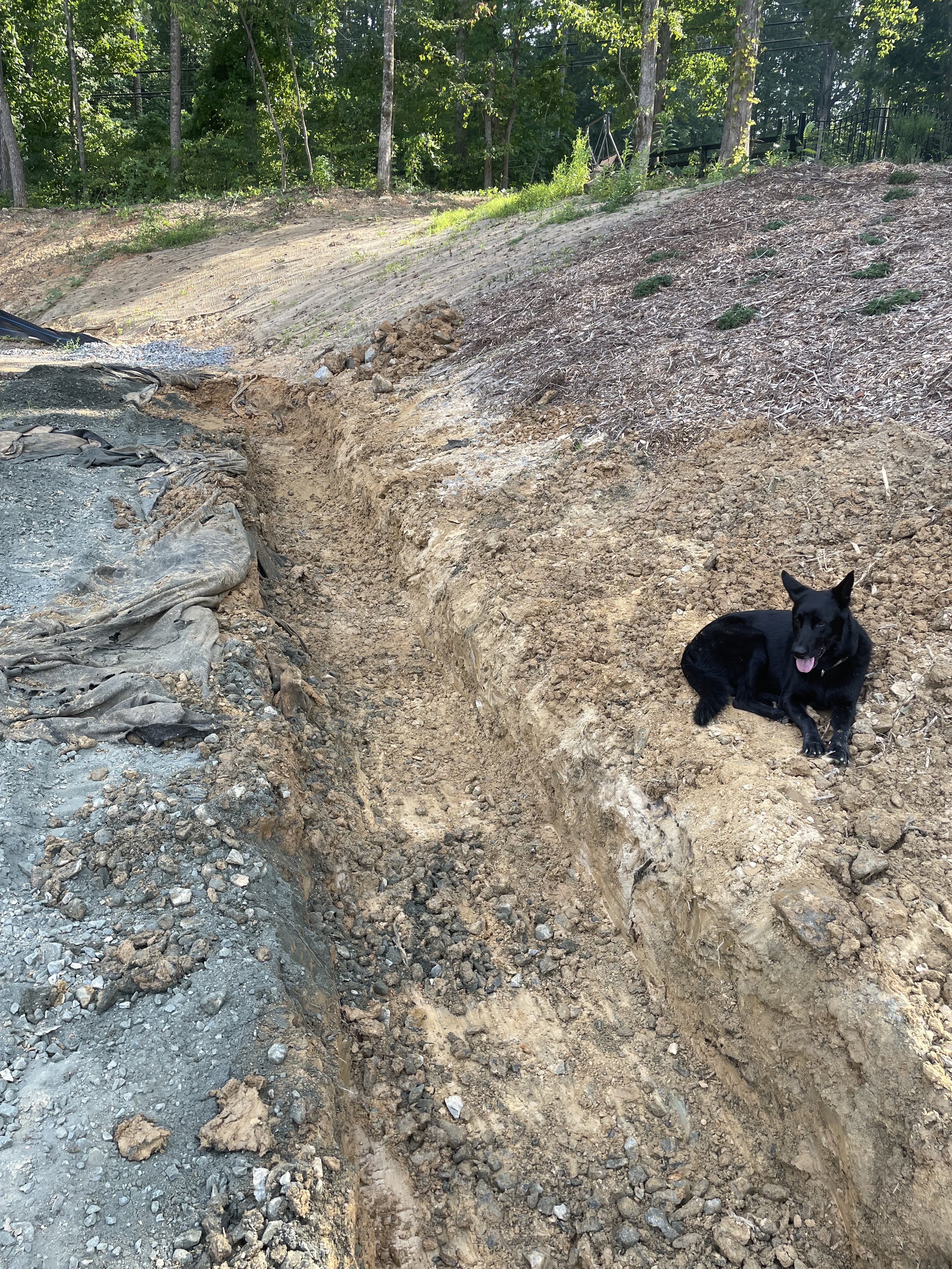 Sediment-clogged perimeter drain excavated at the toe of the hillside on a Kennesaw horse farm.