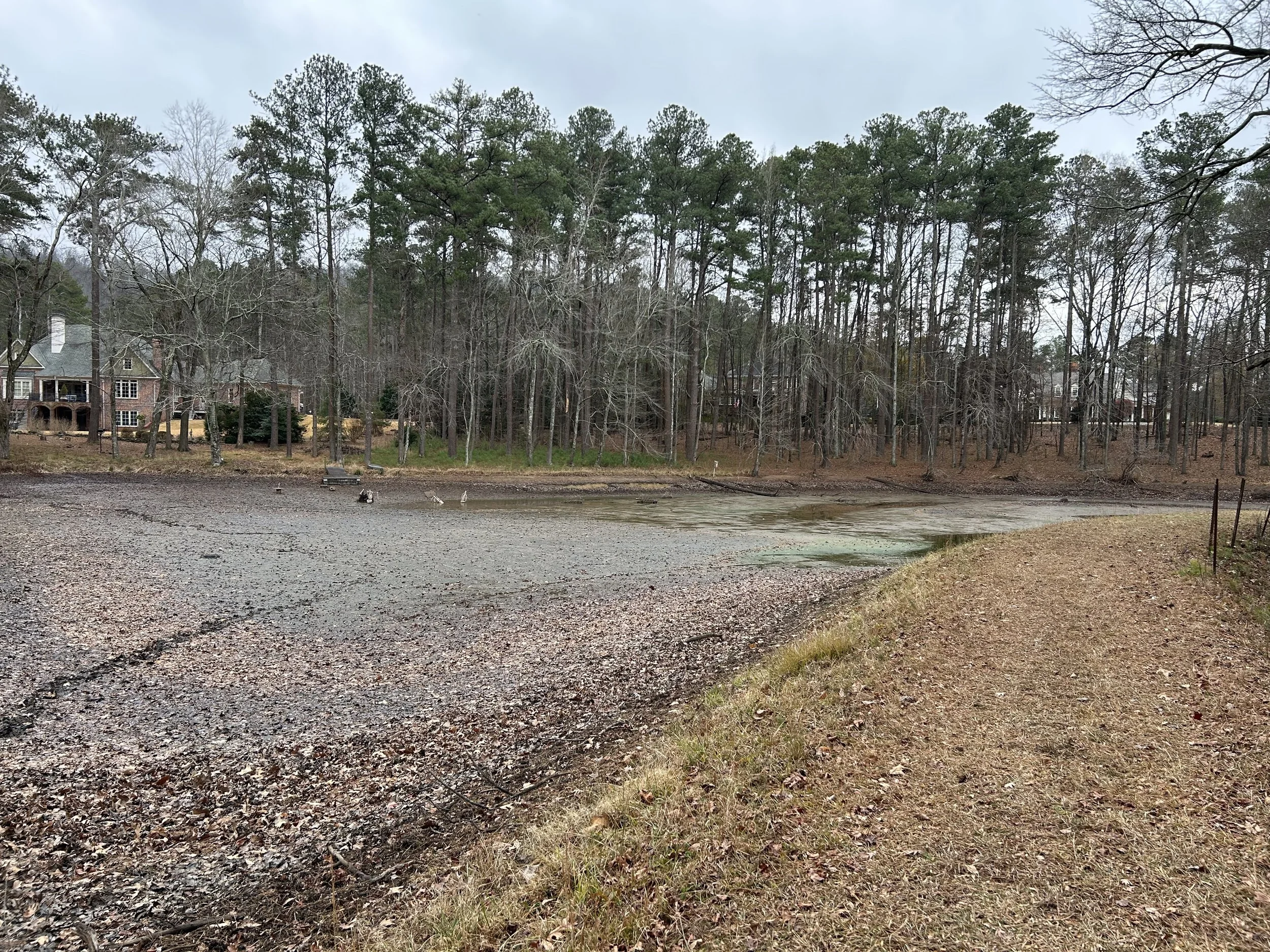 Drained Kennesaw pond before dredging showing sediment accumulation in the upper pond basin.