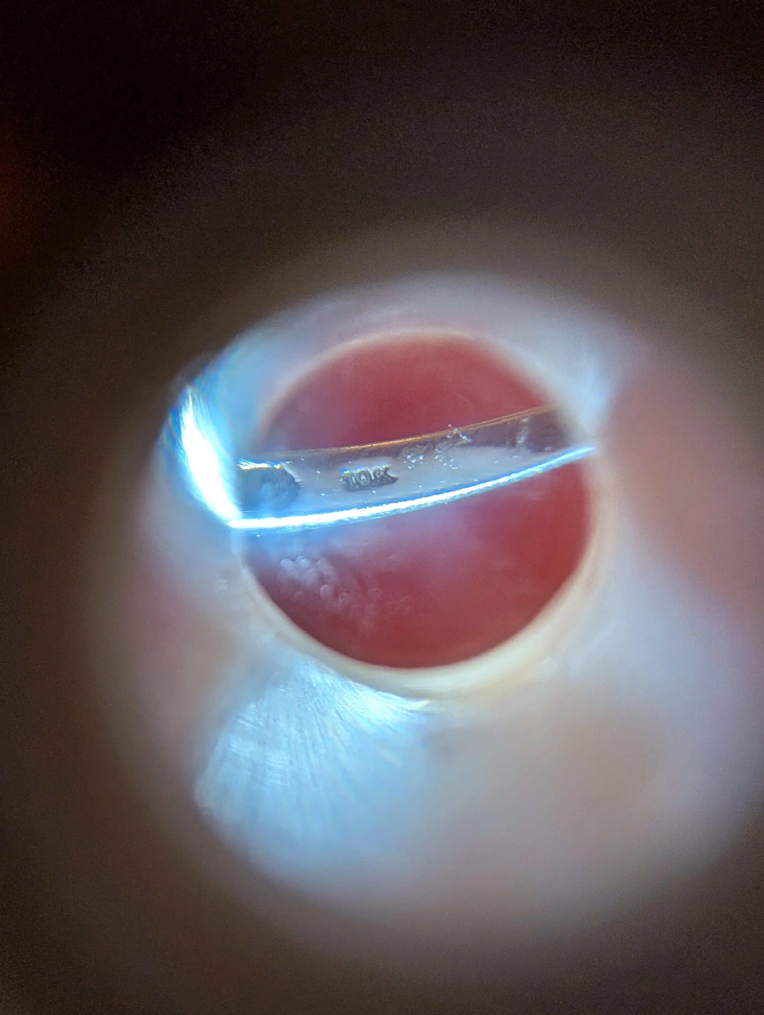 PXL_20251122_030746350.jpg
