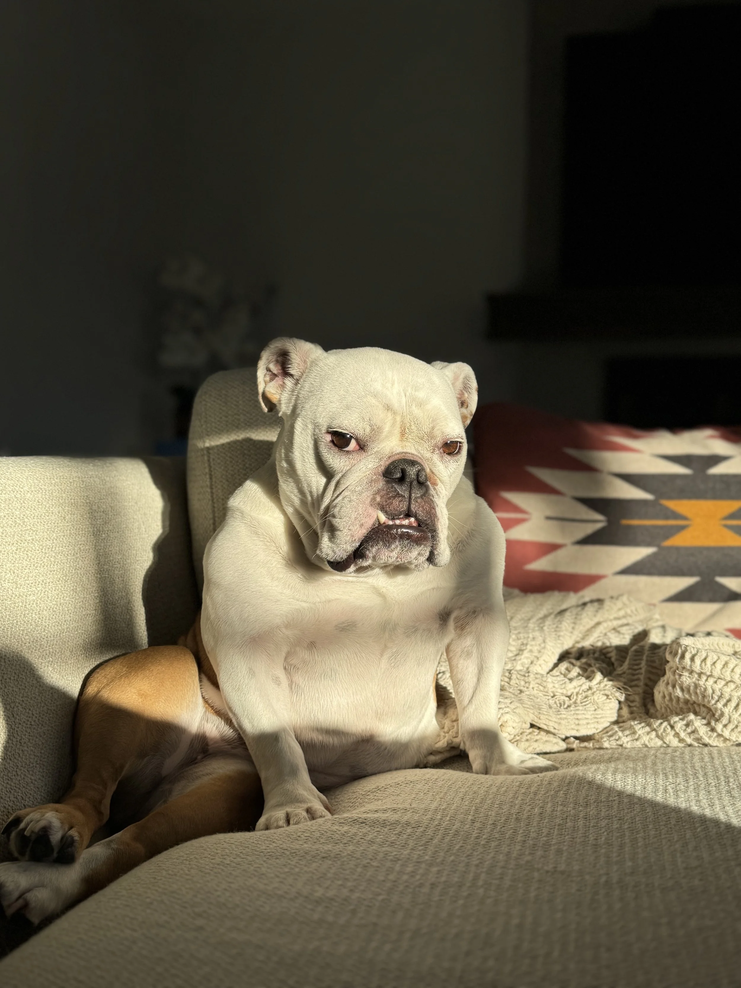 Personalized Photo from Pancake