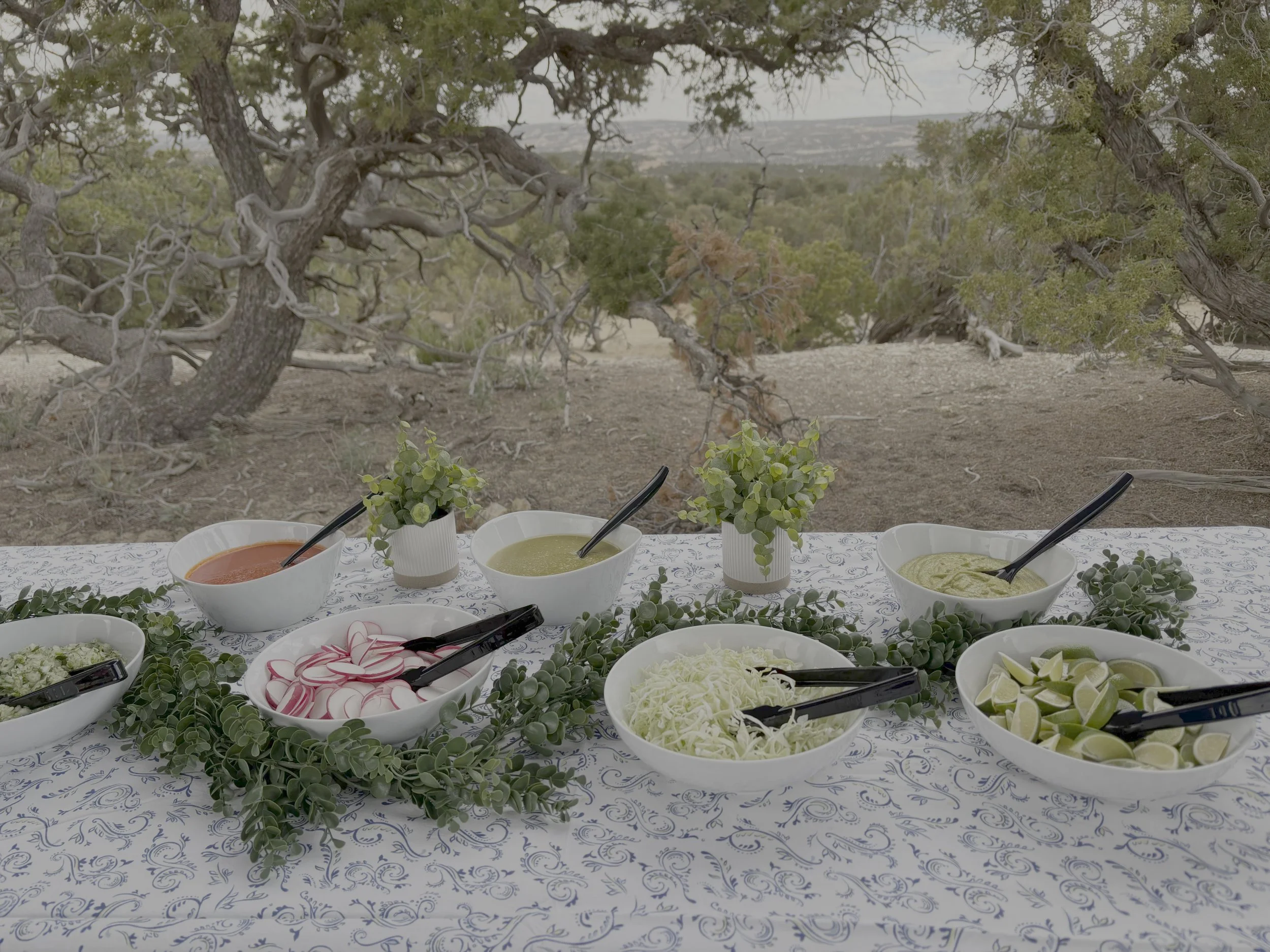 Table with bowls of salsa, guacamole, and lime wedges, decorated with green foliage, set outdoors in a natural setting with trees in the background.