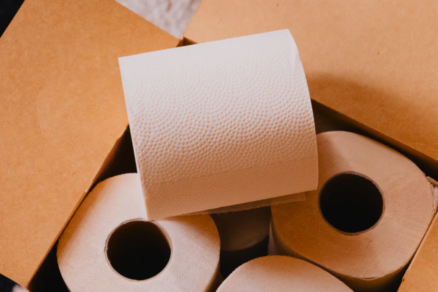 Toilet Paper - Code: MANGOADAY20 for 20% off subscriptions 