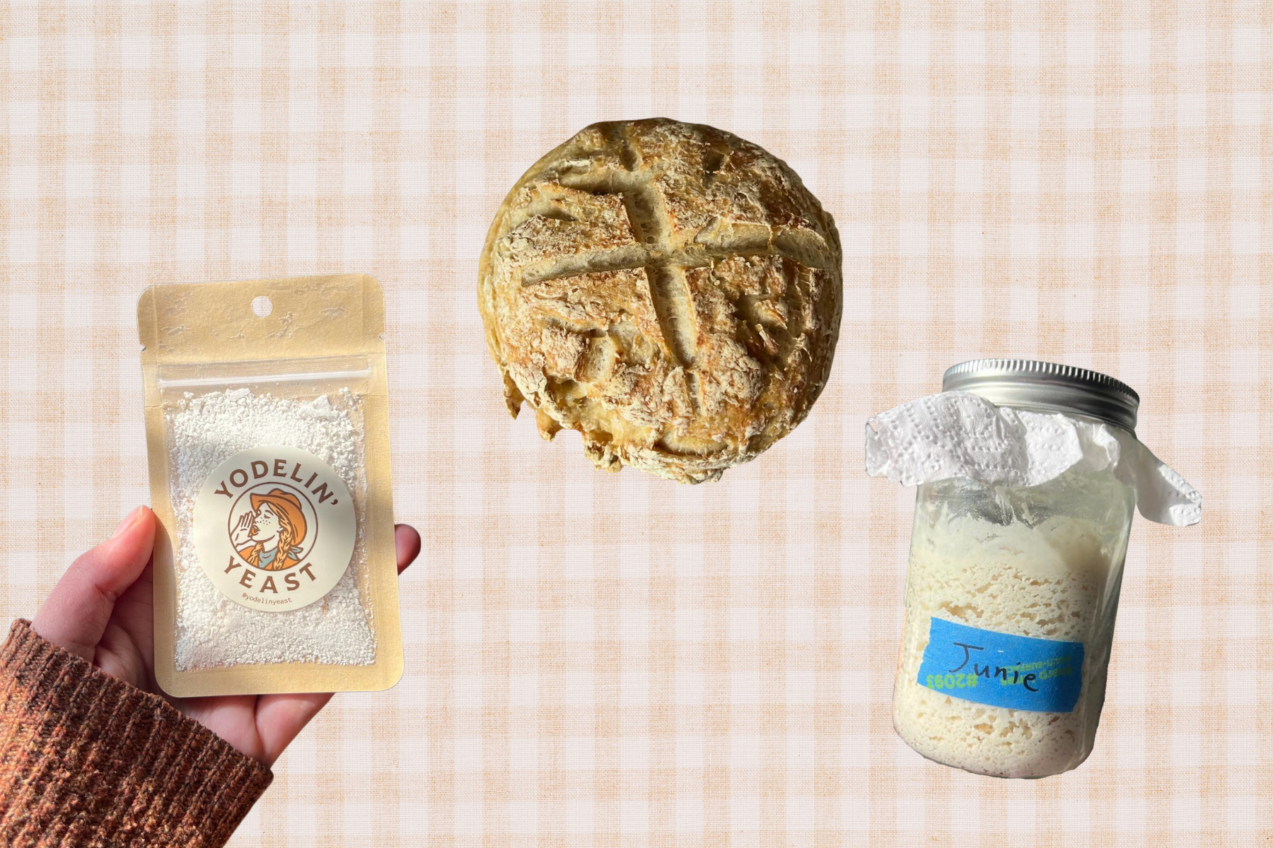 Gluten-Free Sourdough Starter