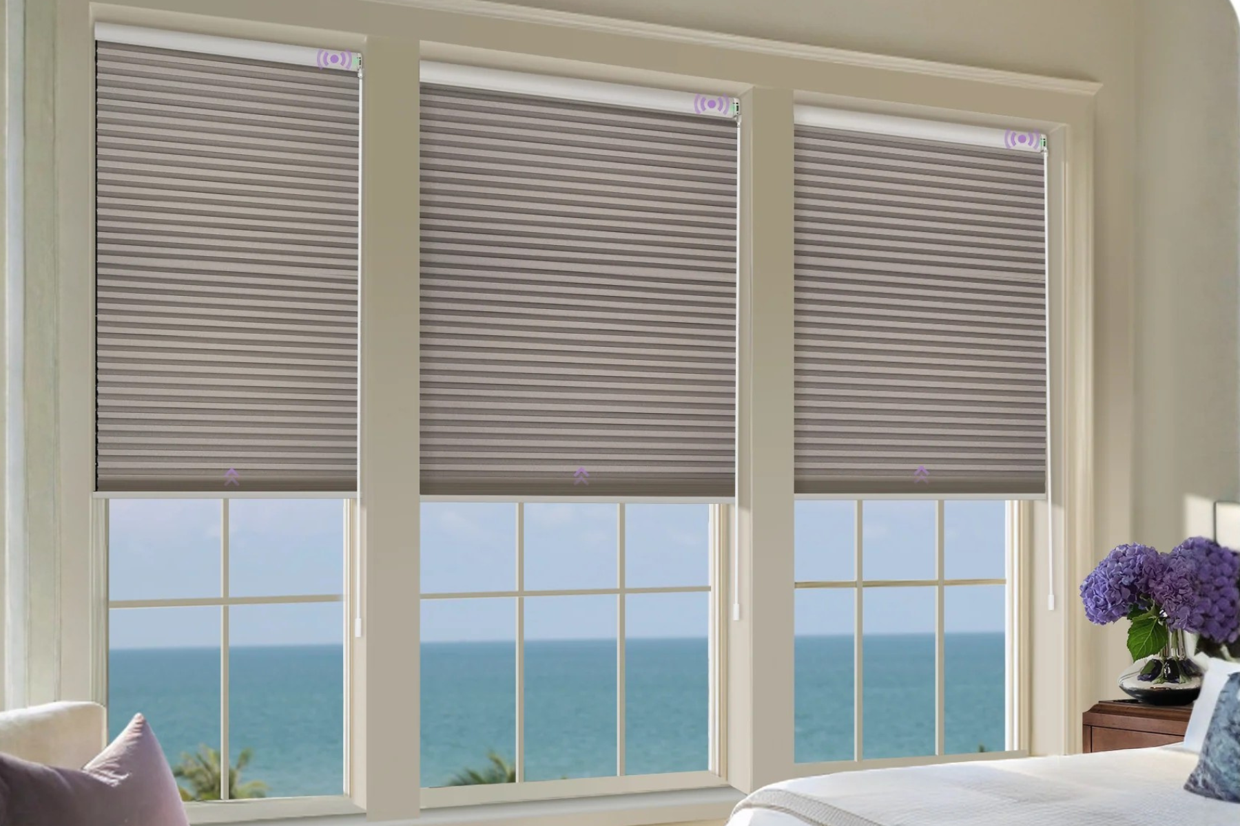 Auto Timer Blackout Shades