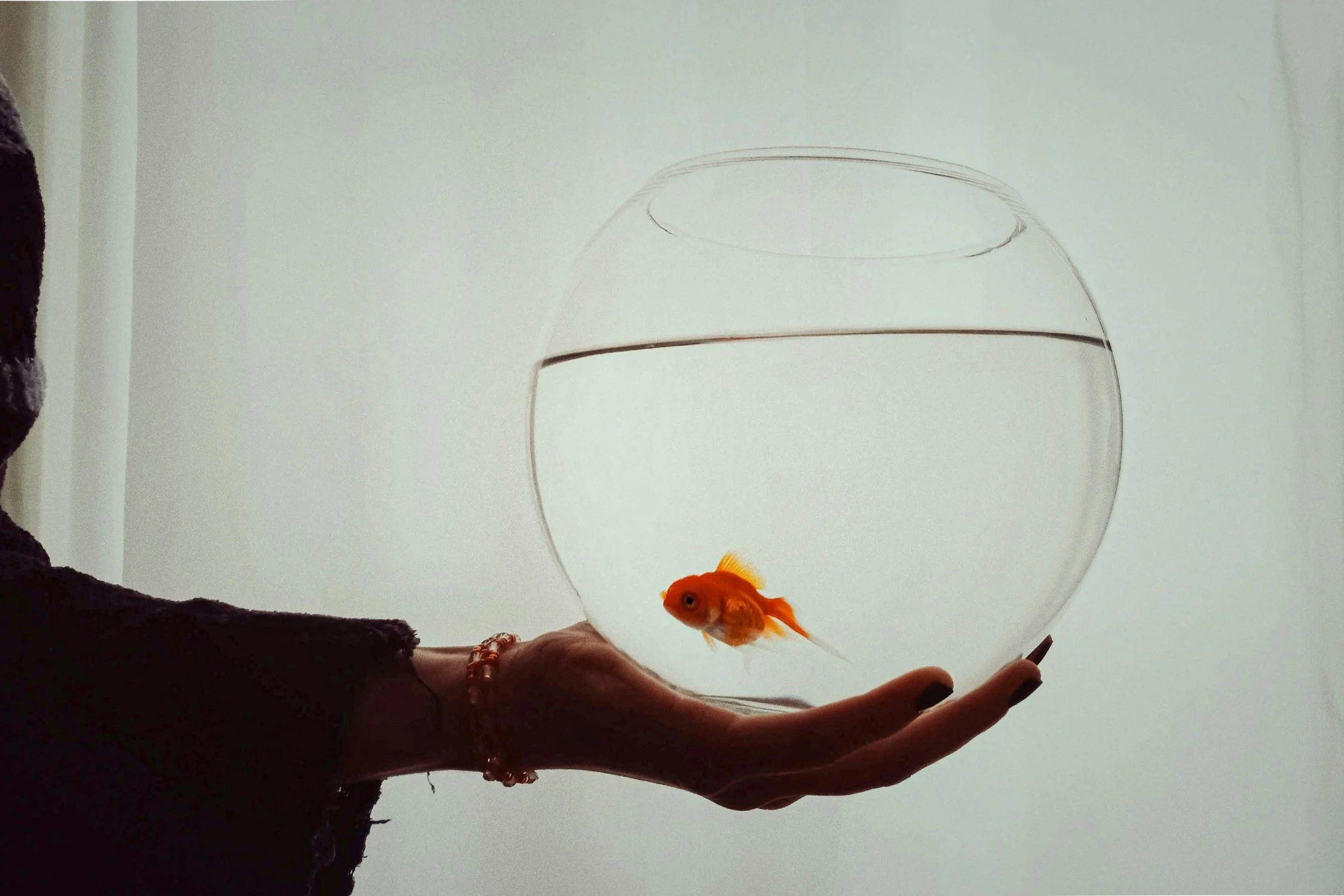 How family &amp; cultural expectations affect your study and career decisions