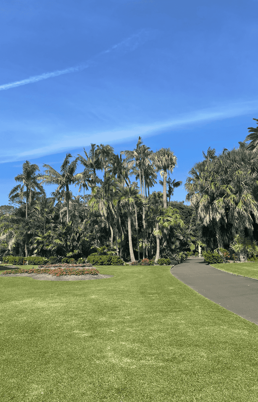 Trees at Botanical Gardens