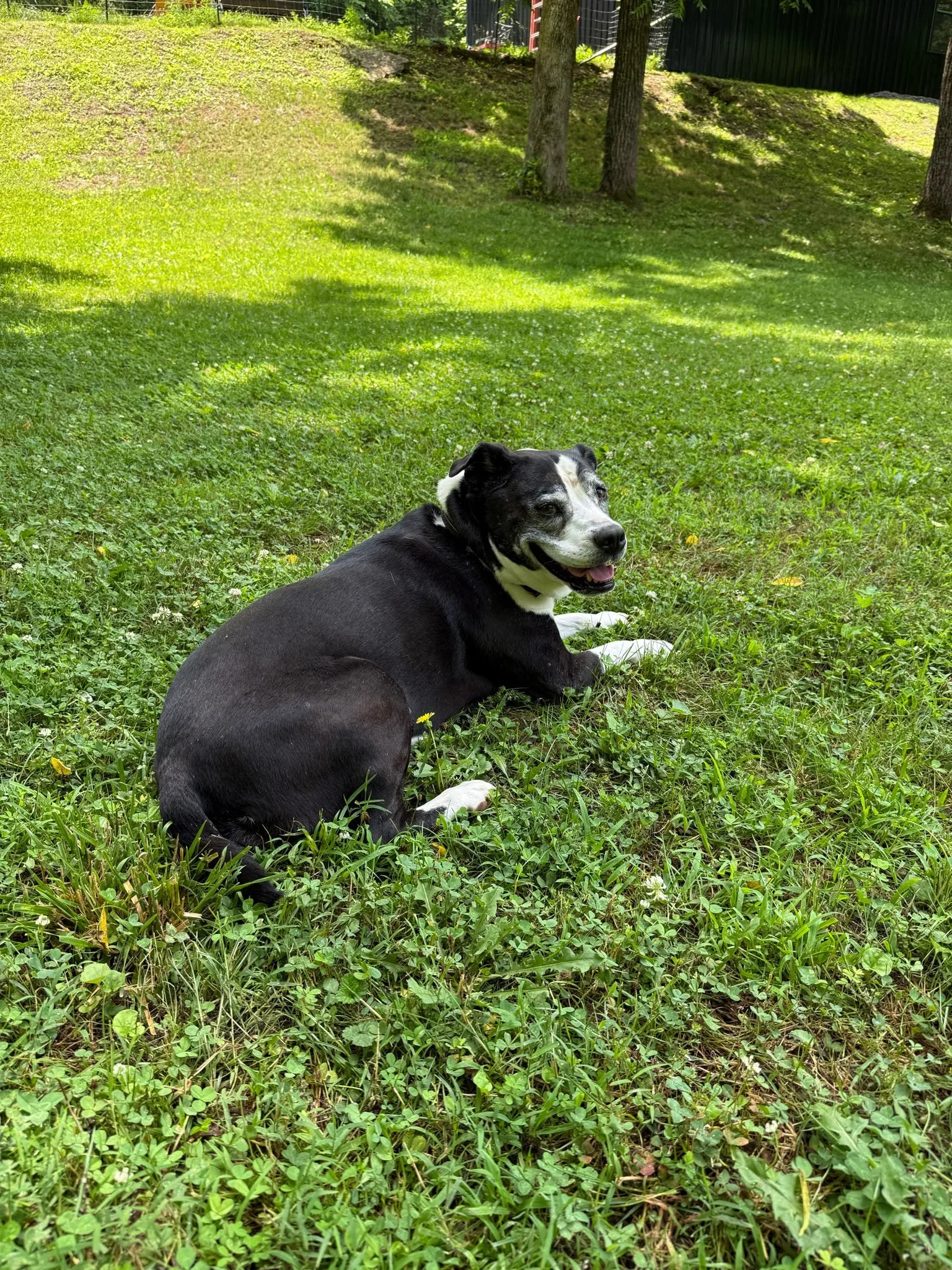 20260609_113312_08C203.JPEG