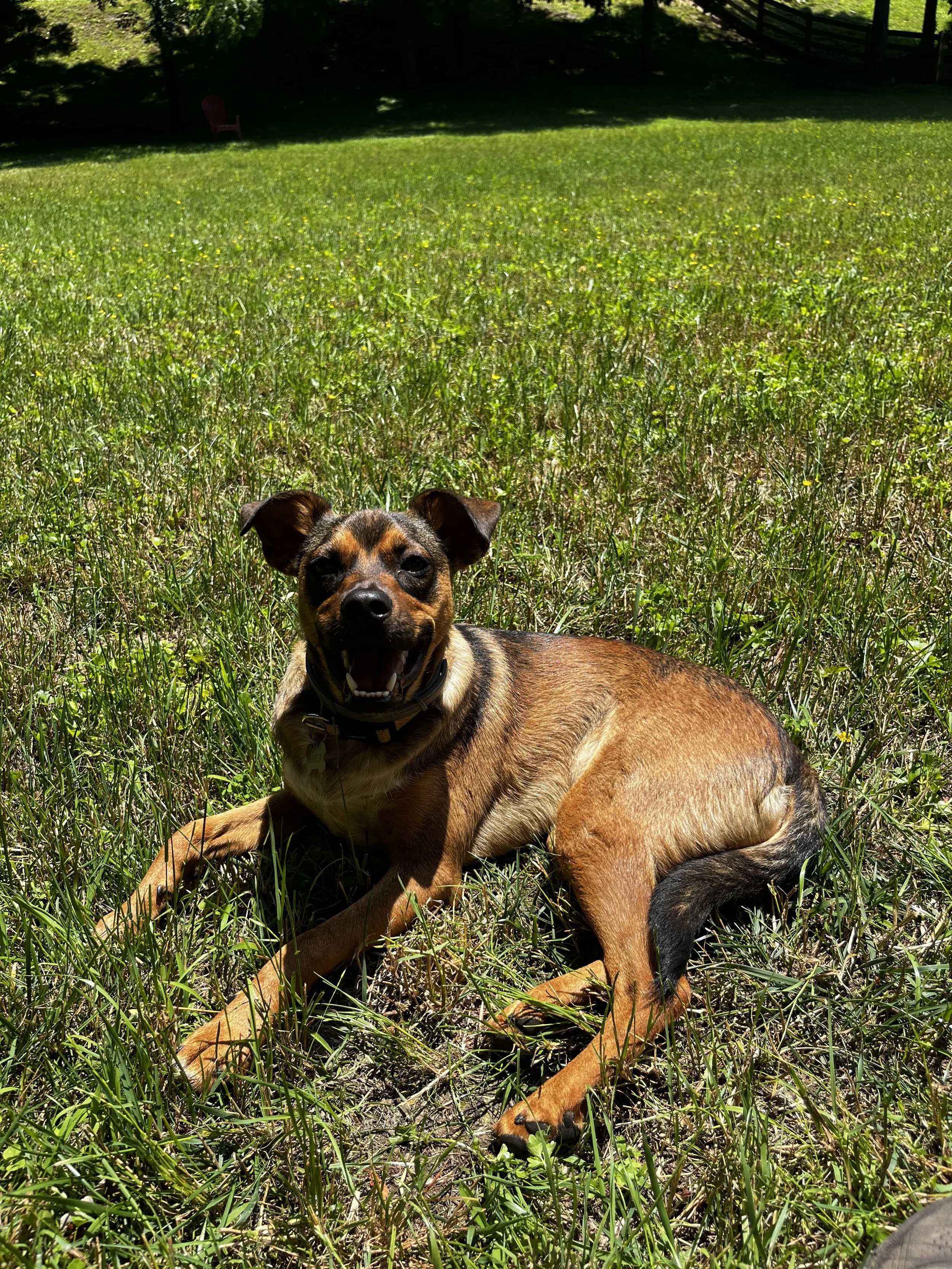 IMG_4629.jpeg