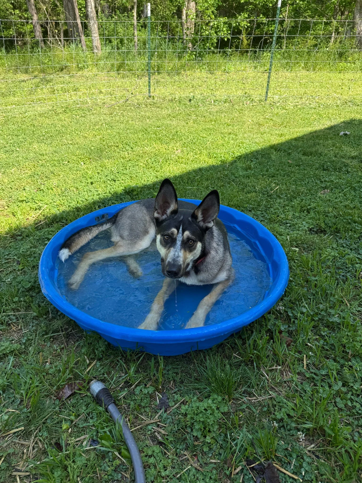 20260417_111804_00AE77.jpeg