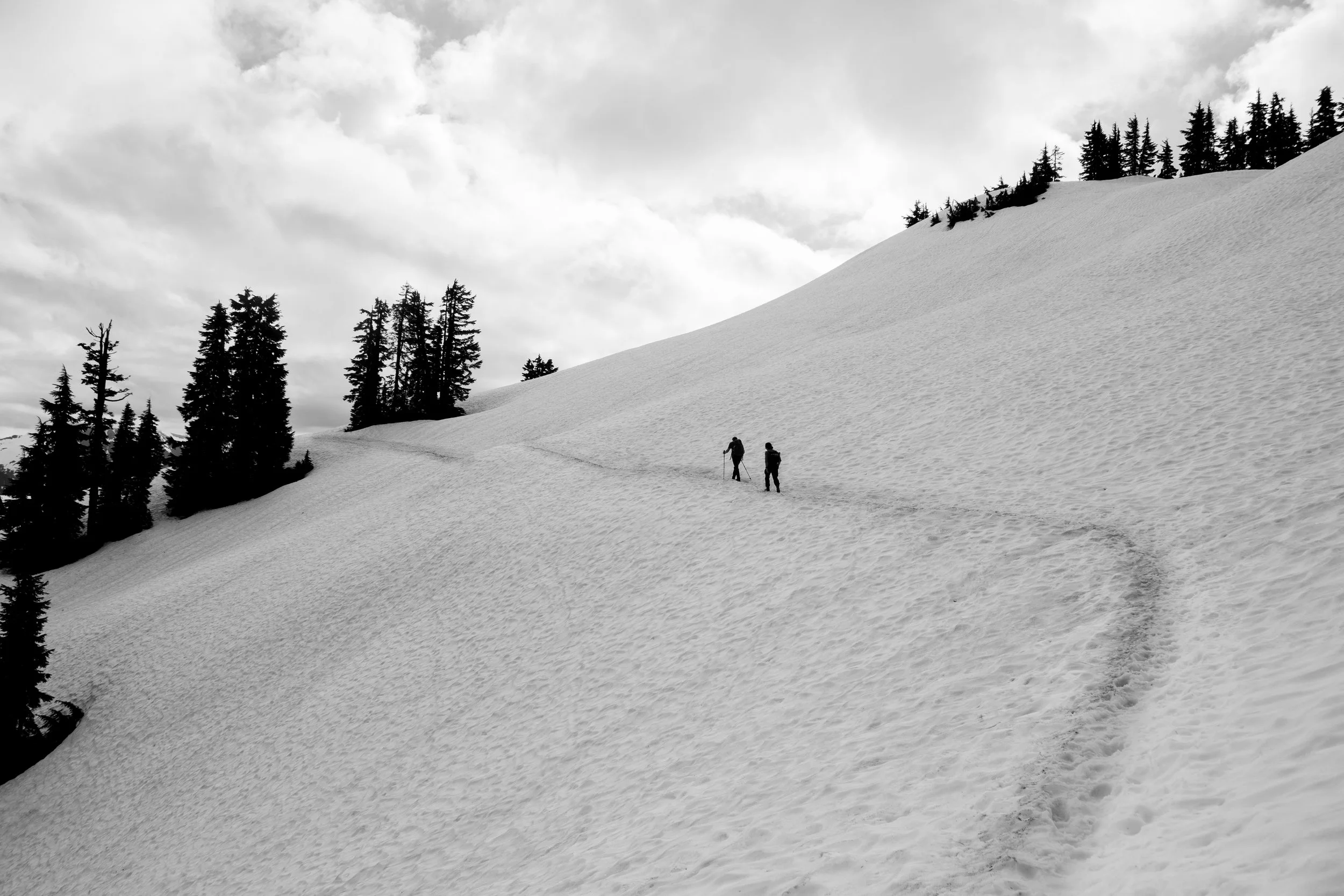 Your Content Doesn’t Need to Go Viral — It Needs to Convert