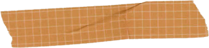 A torn piece of brown, grid-patterned paper or tape.