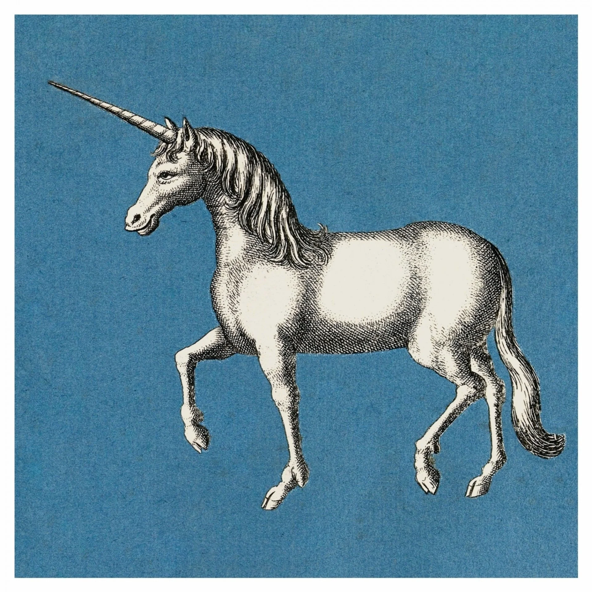 Unicorns Social Hour