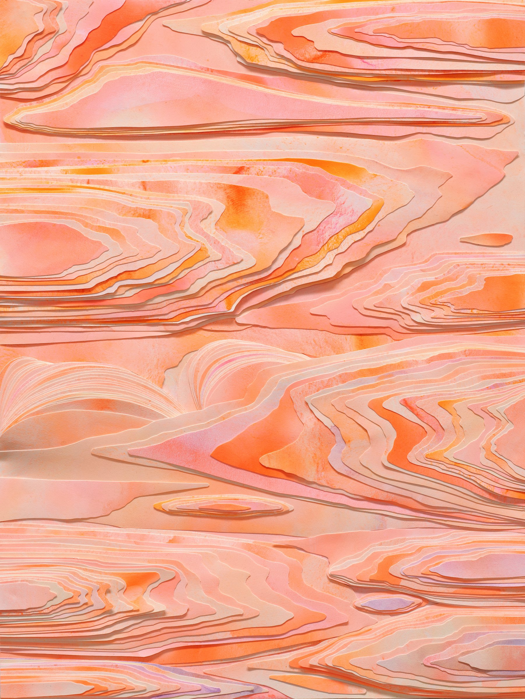 52064680599_e843ee1a0a_o.jpg