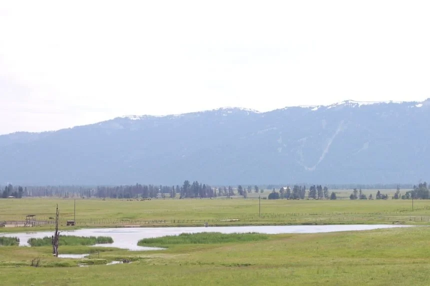 Open landscape with grassy field, small pond, and distant mountains under a cloudy sky.