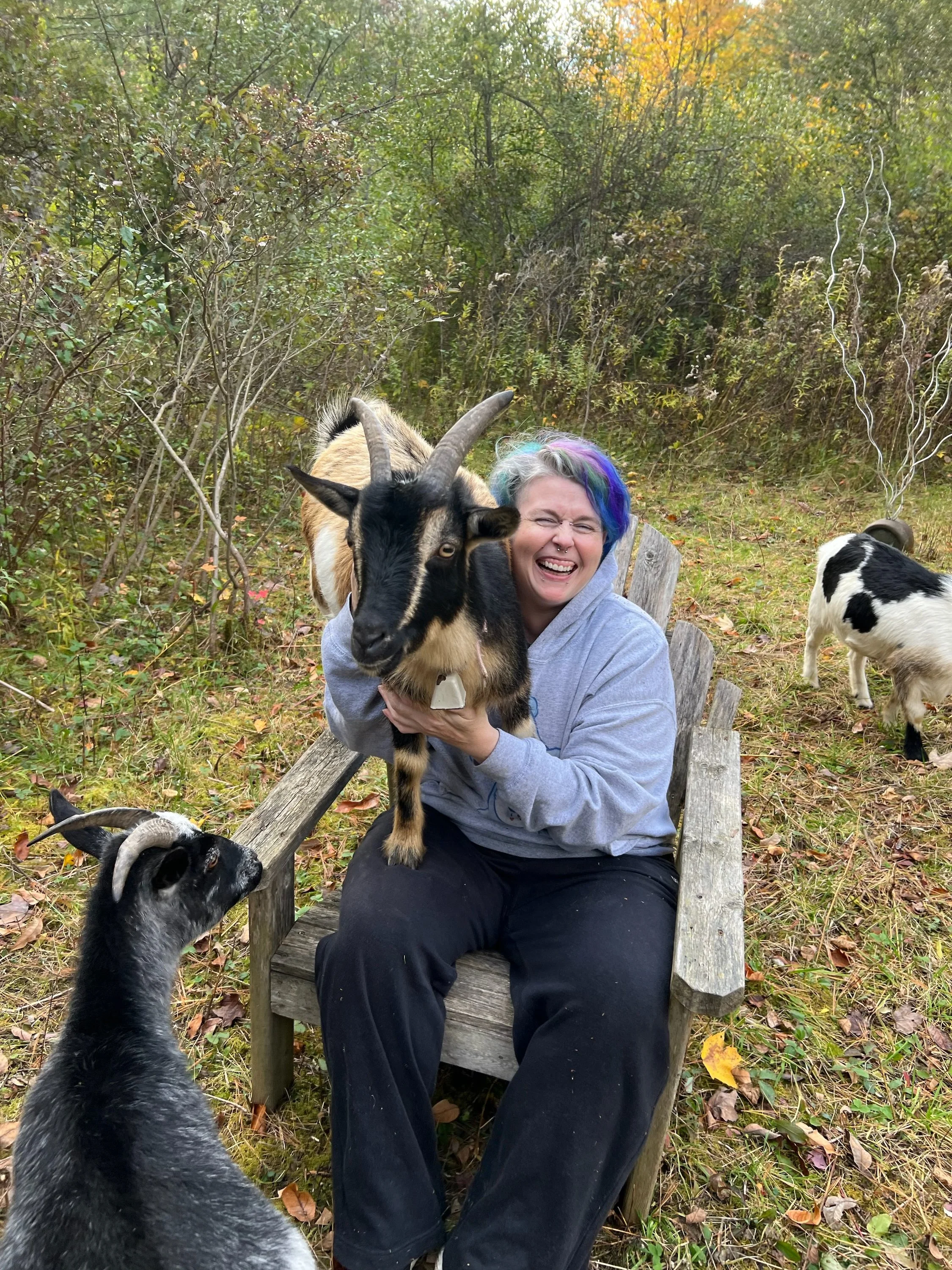 person with purple and green hair and a big smile sitting on a wooden chair with a goat with horns climbing over the back of the chair onto their lap