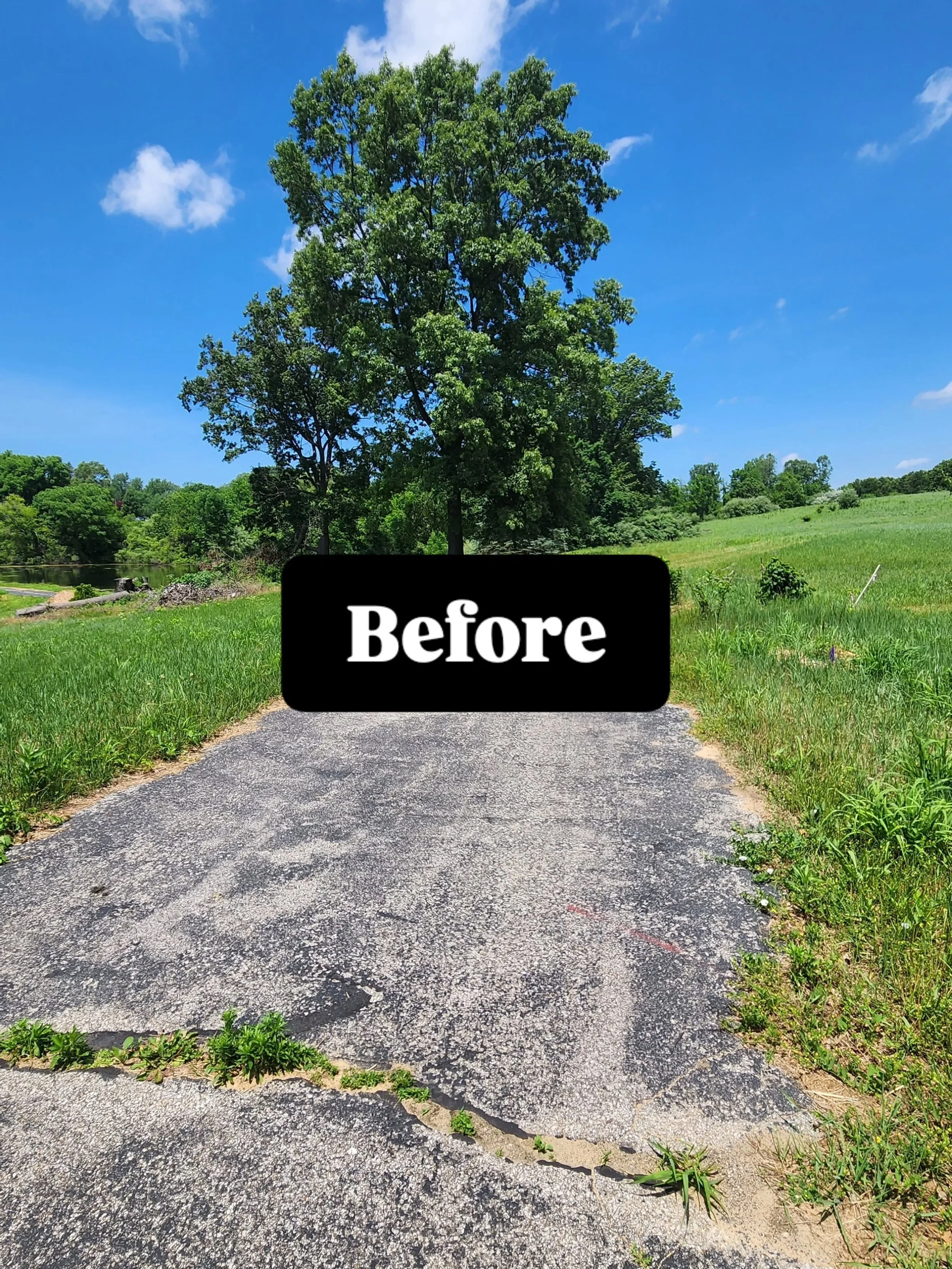 It may not look like much, but we were super excited to get this kit of native perennials from @adapt_ecology recently 😻 They made a really cute border for this portion of the drive coming up to the house. Check out Adapt Ecology yall, they're good 