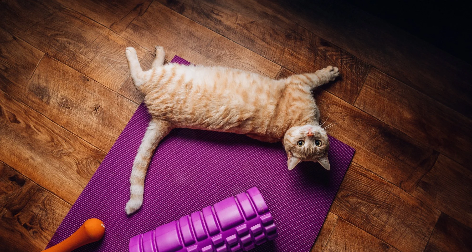 Community PURR-lates Class