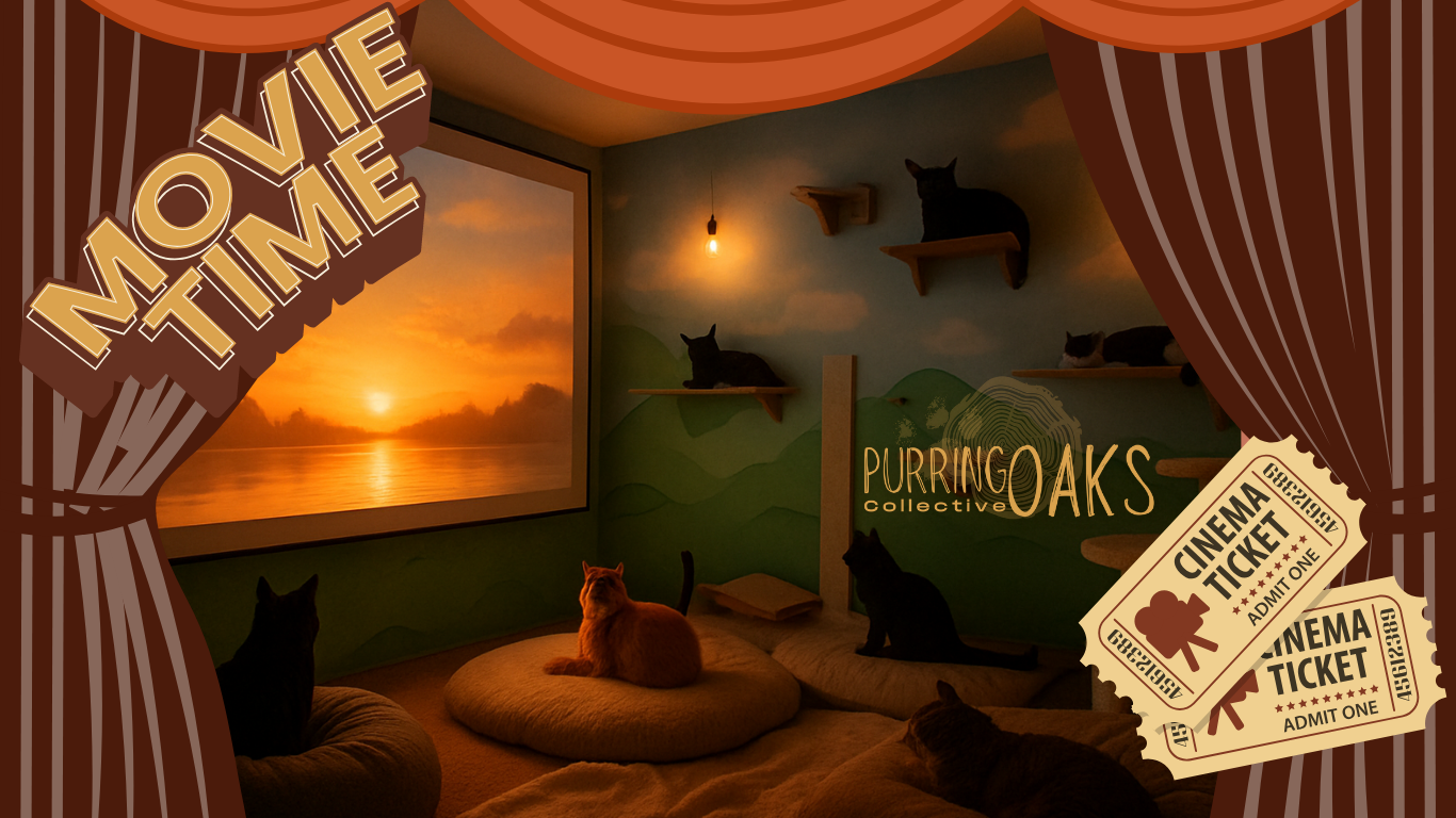 fun art photos (1280 x 960 px) (Website).png