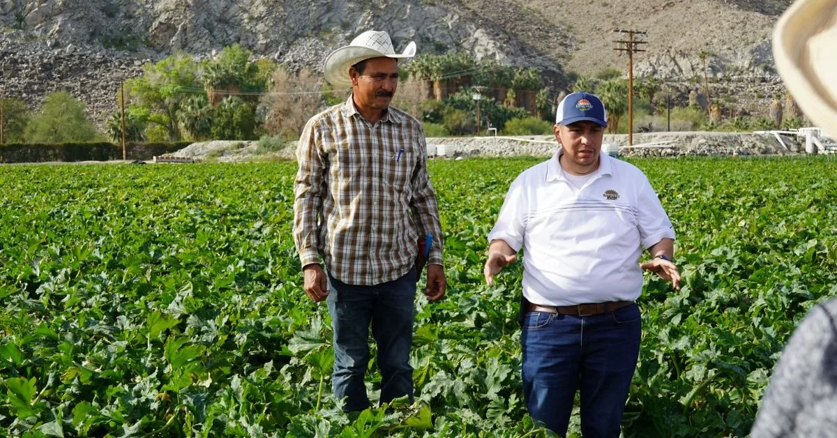 Looking Ahead: Planting the Next Harvest