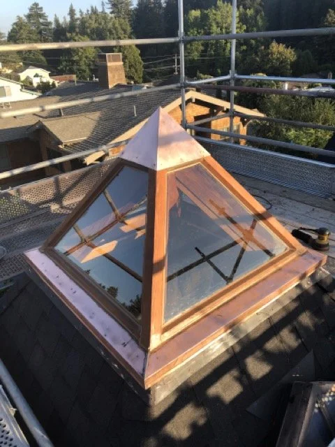 IMG_4829 2 Medium.jpeg