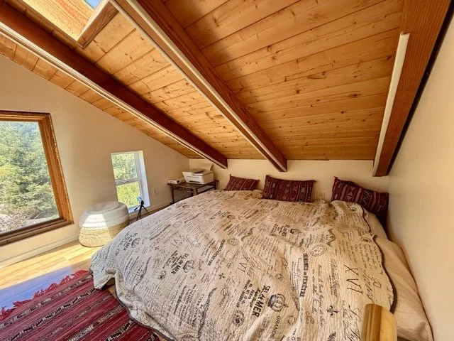 IMG_1397 Medium.jpeg