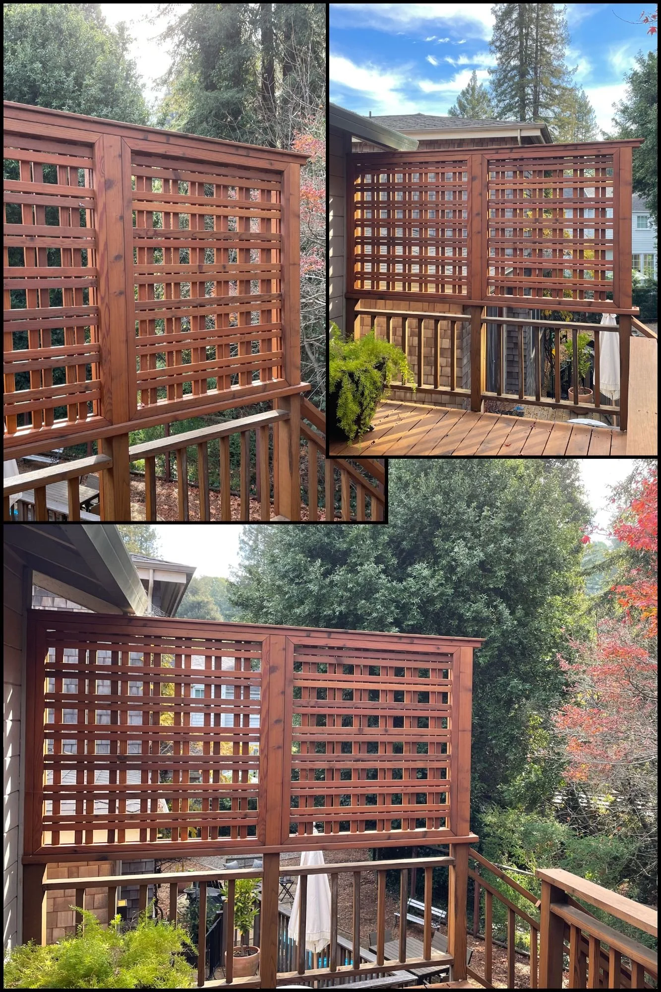 Untitled design copy 3.jpg