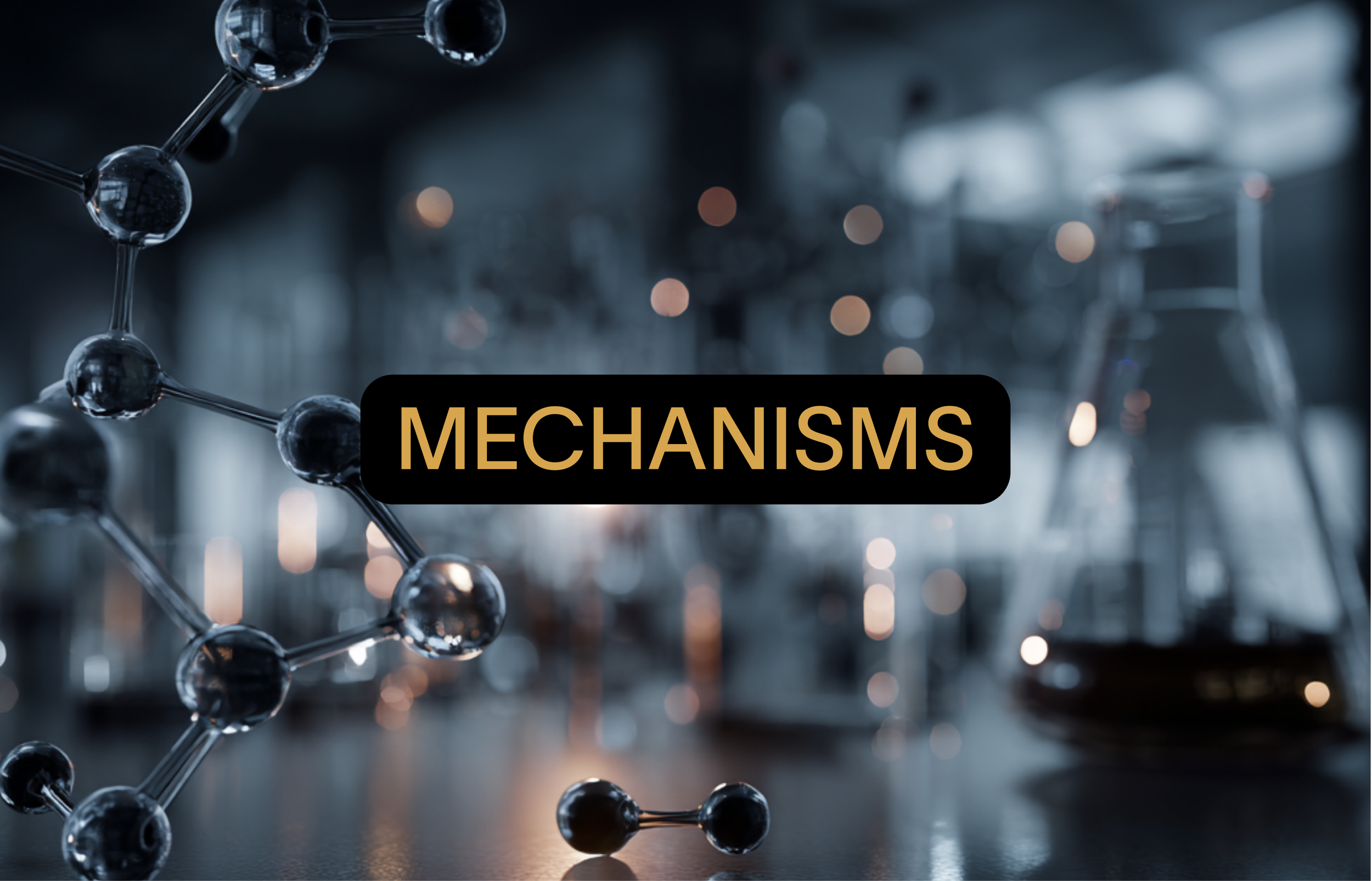 We evaluate how cellular signaling networks interact so that interventions support multiple aging systems at once.