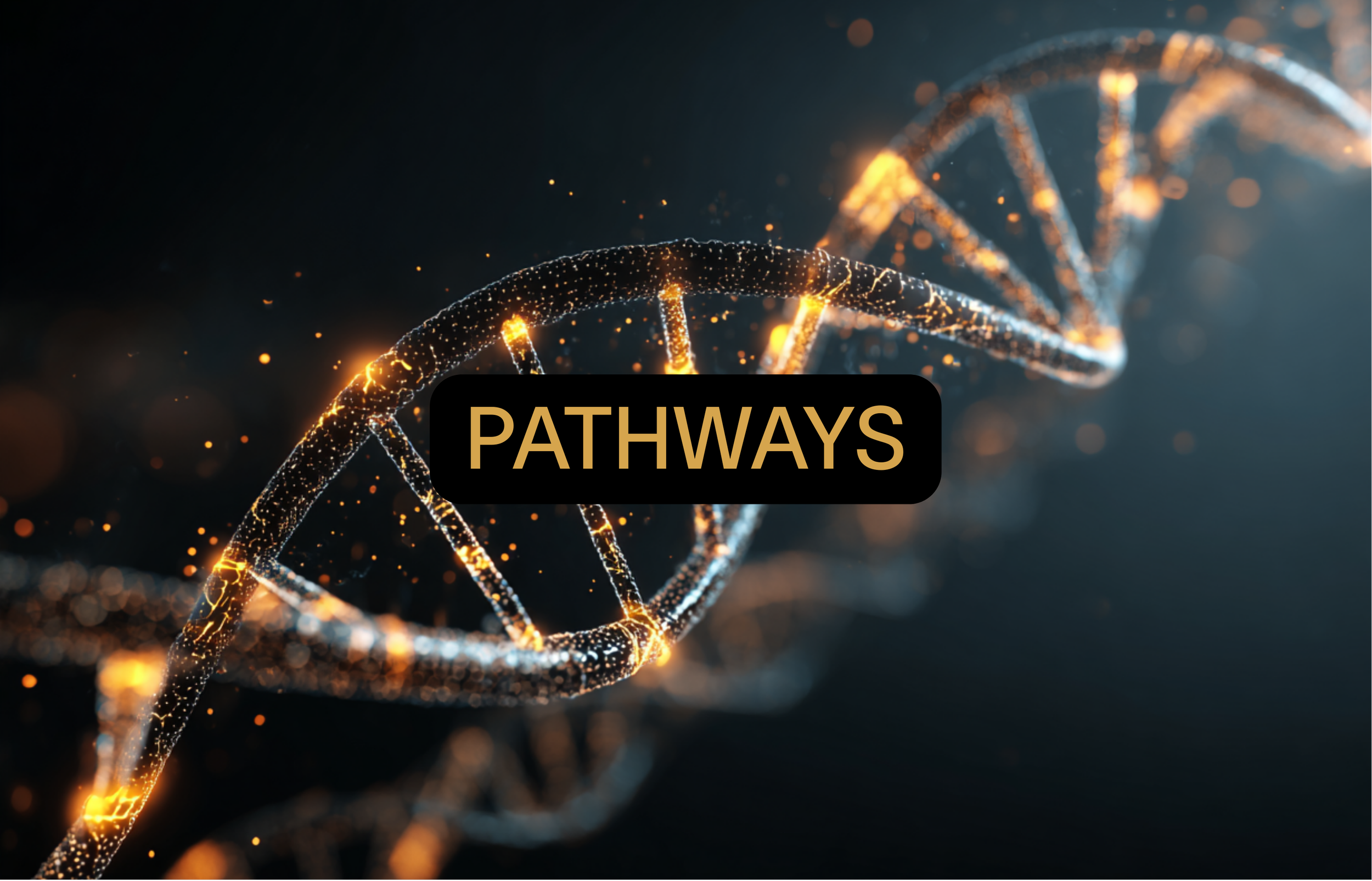 We target the biological pathways that drive aging at the cellular level.