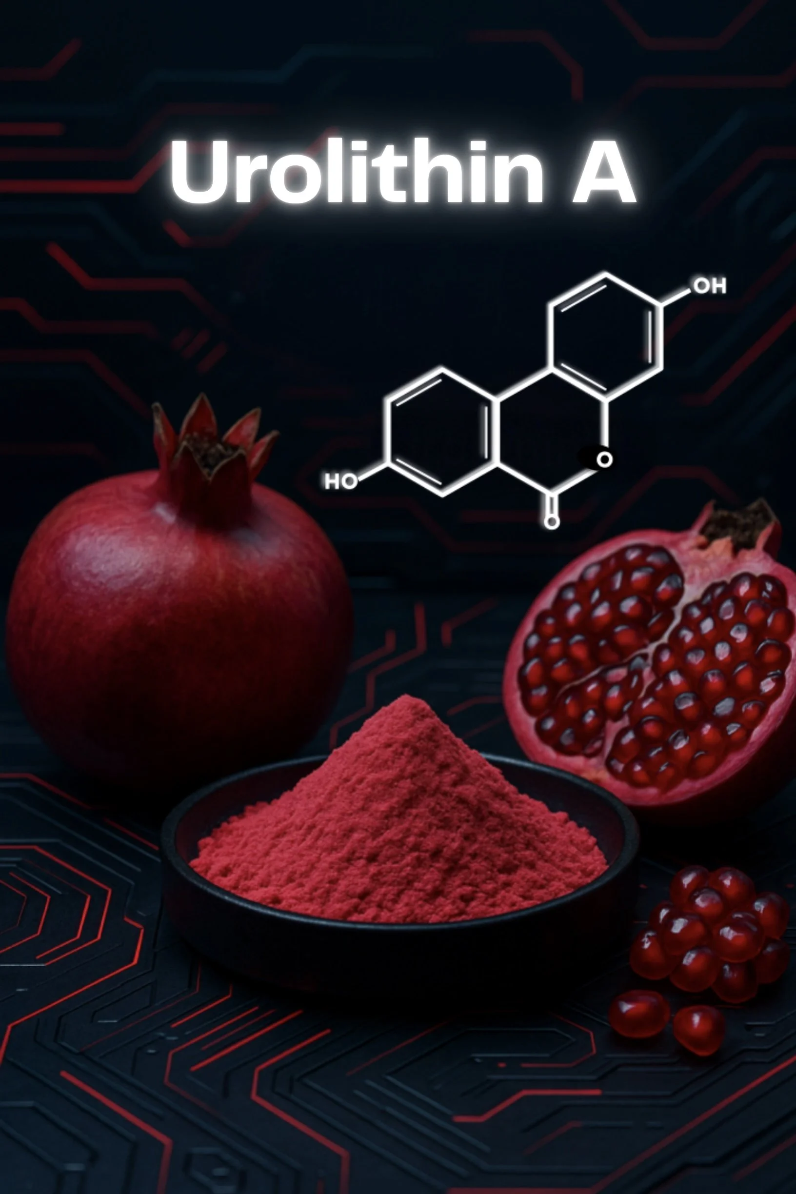 Urolithin A.jpg