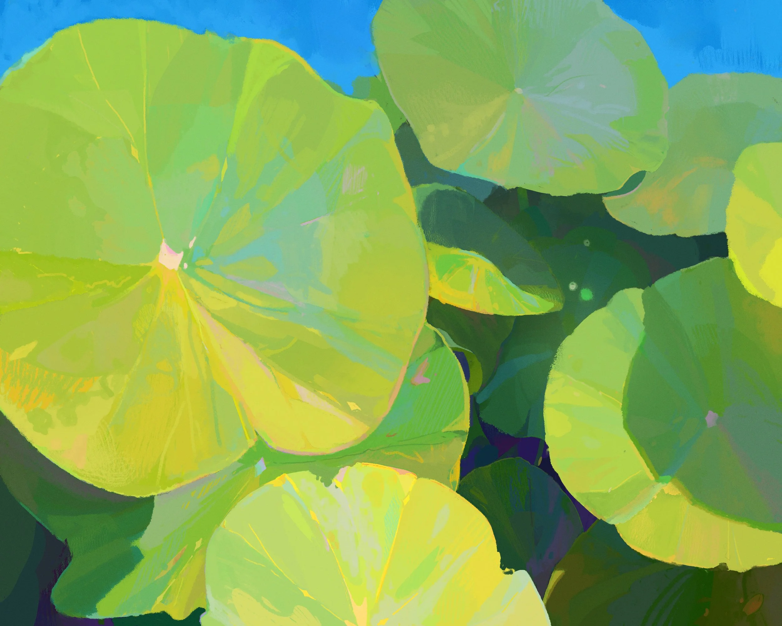 Full image_lilypads.jpg
