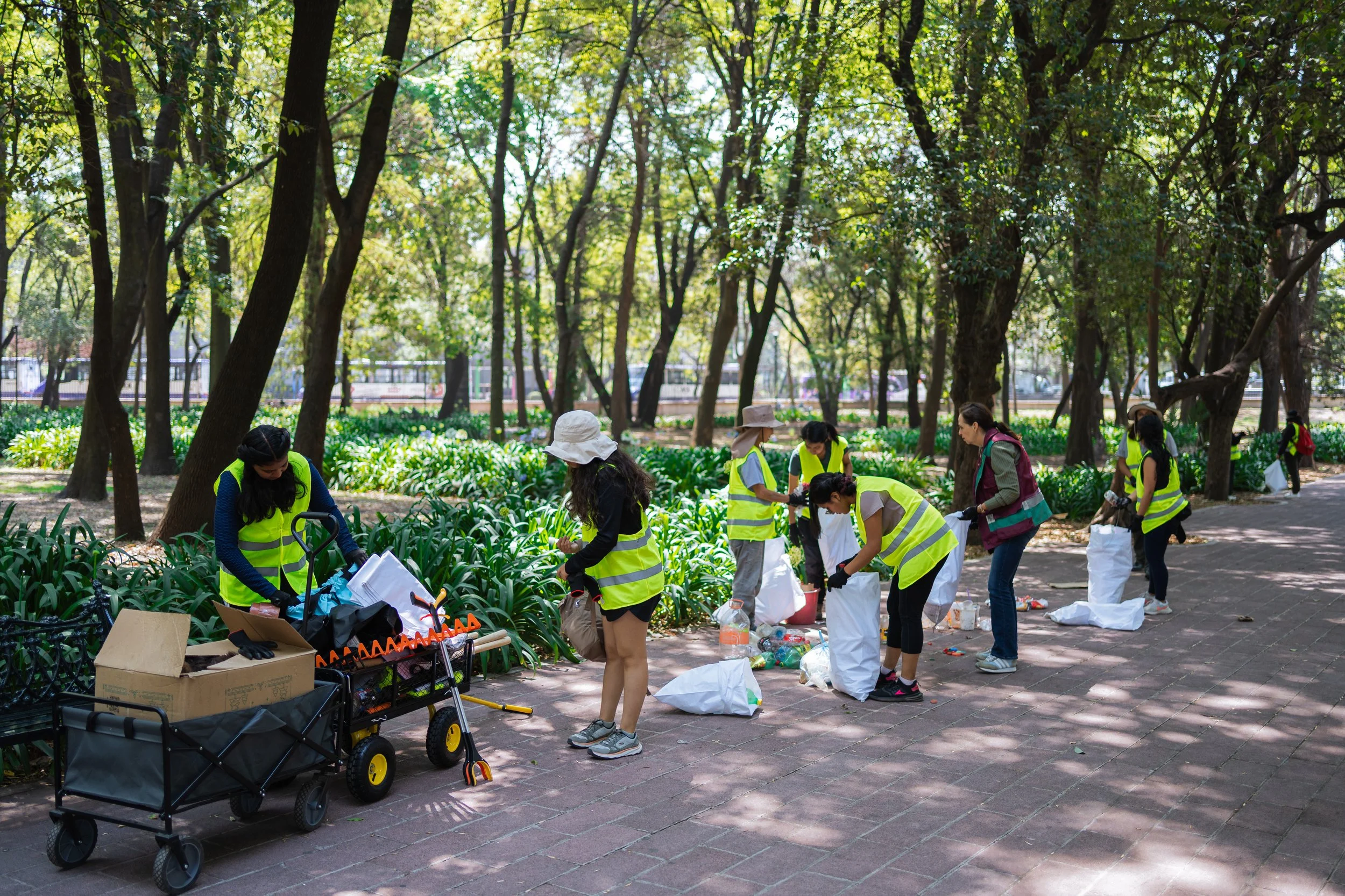 MOT-Chapultepec2.jpg