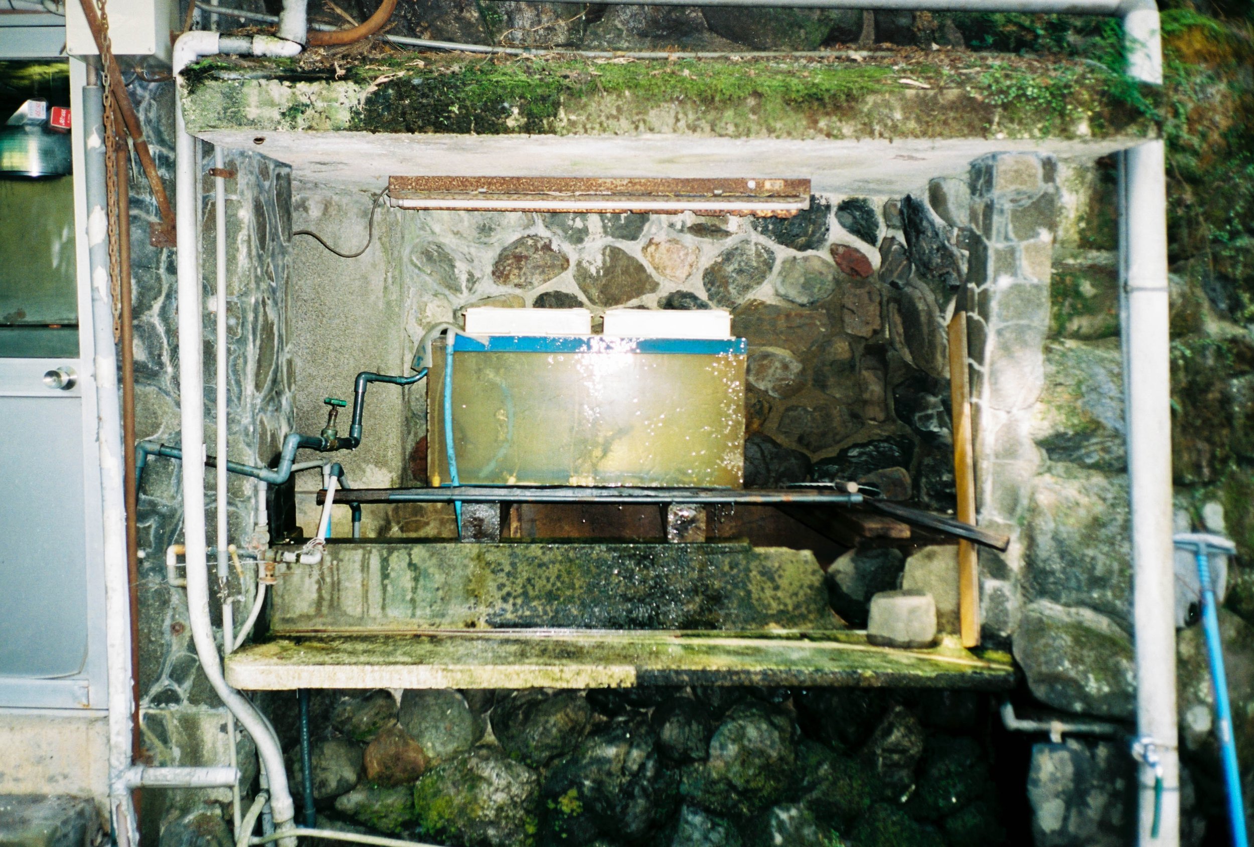 0061933-026.jpg