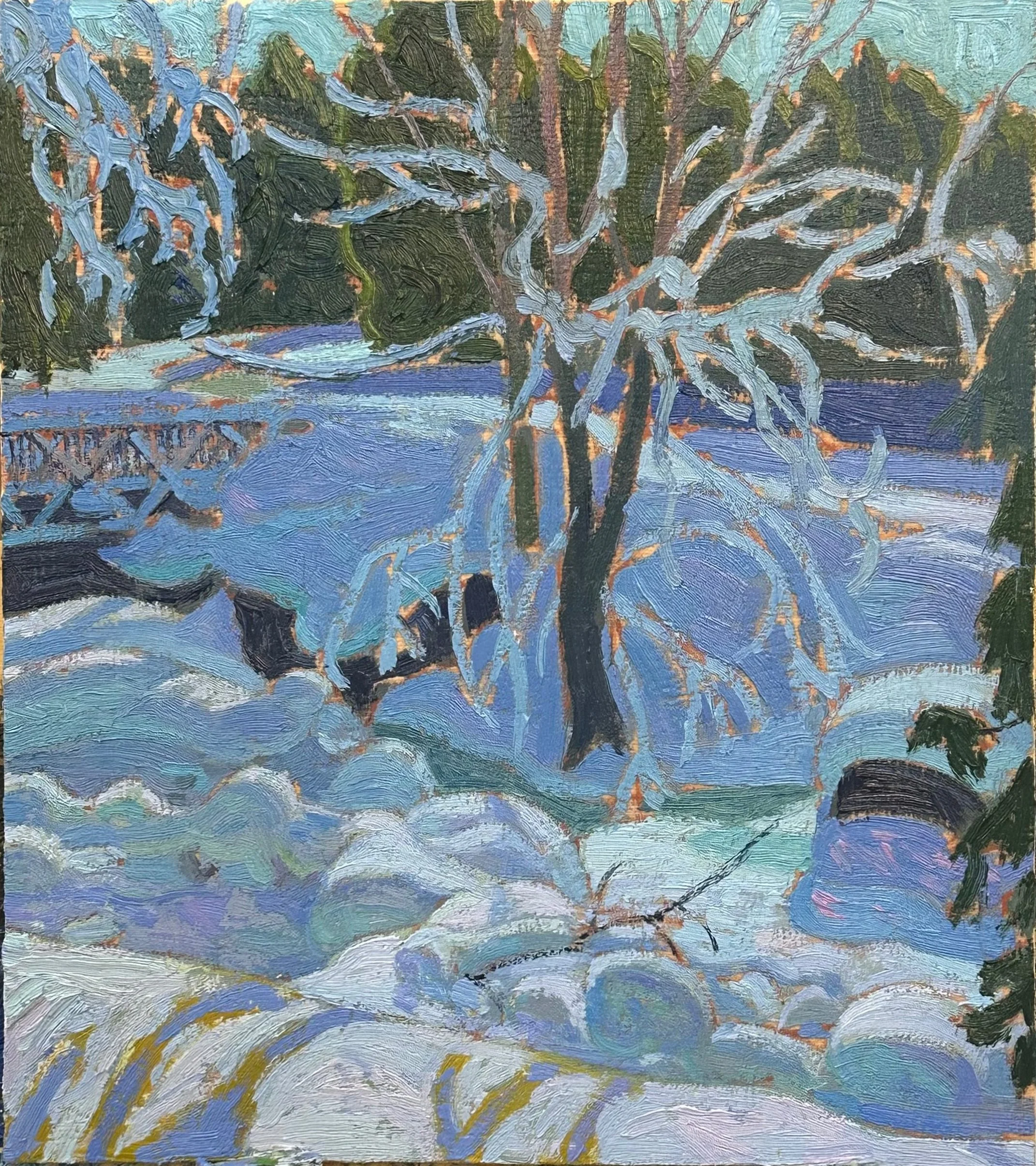 Inglis Falls 2.jpg