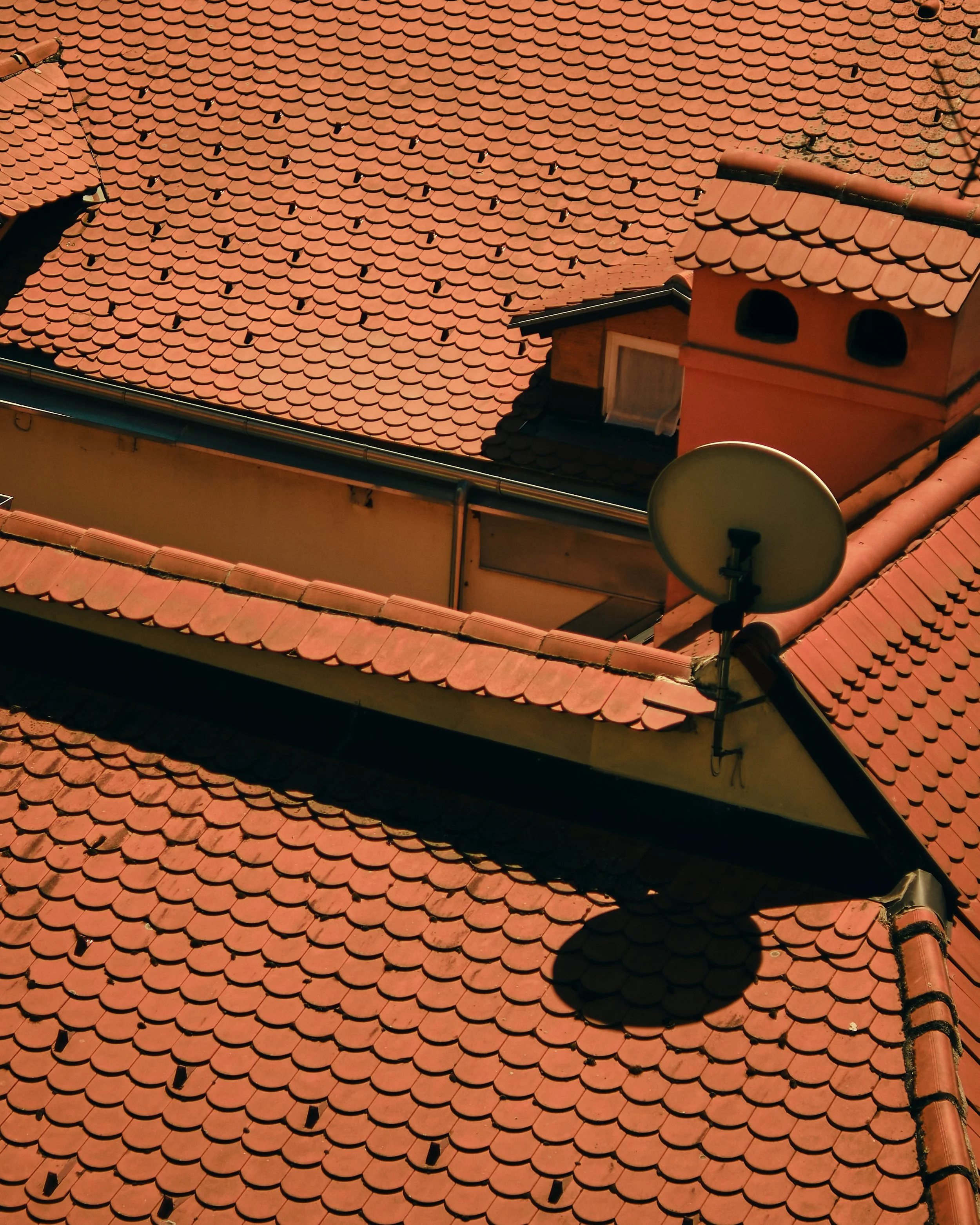 DSCF7564.jpg