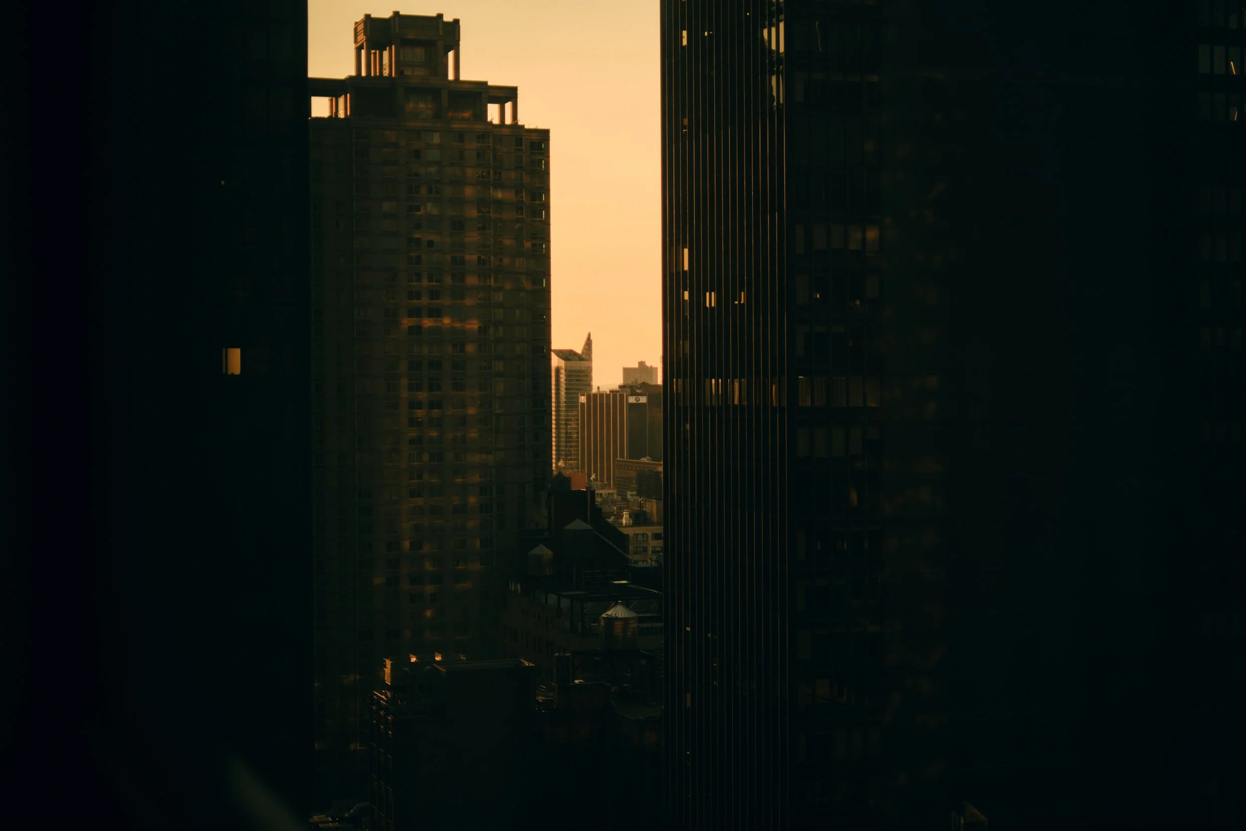 DSCF8571.jpg