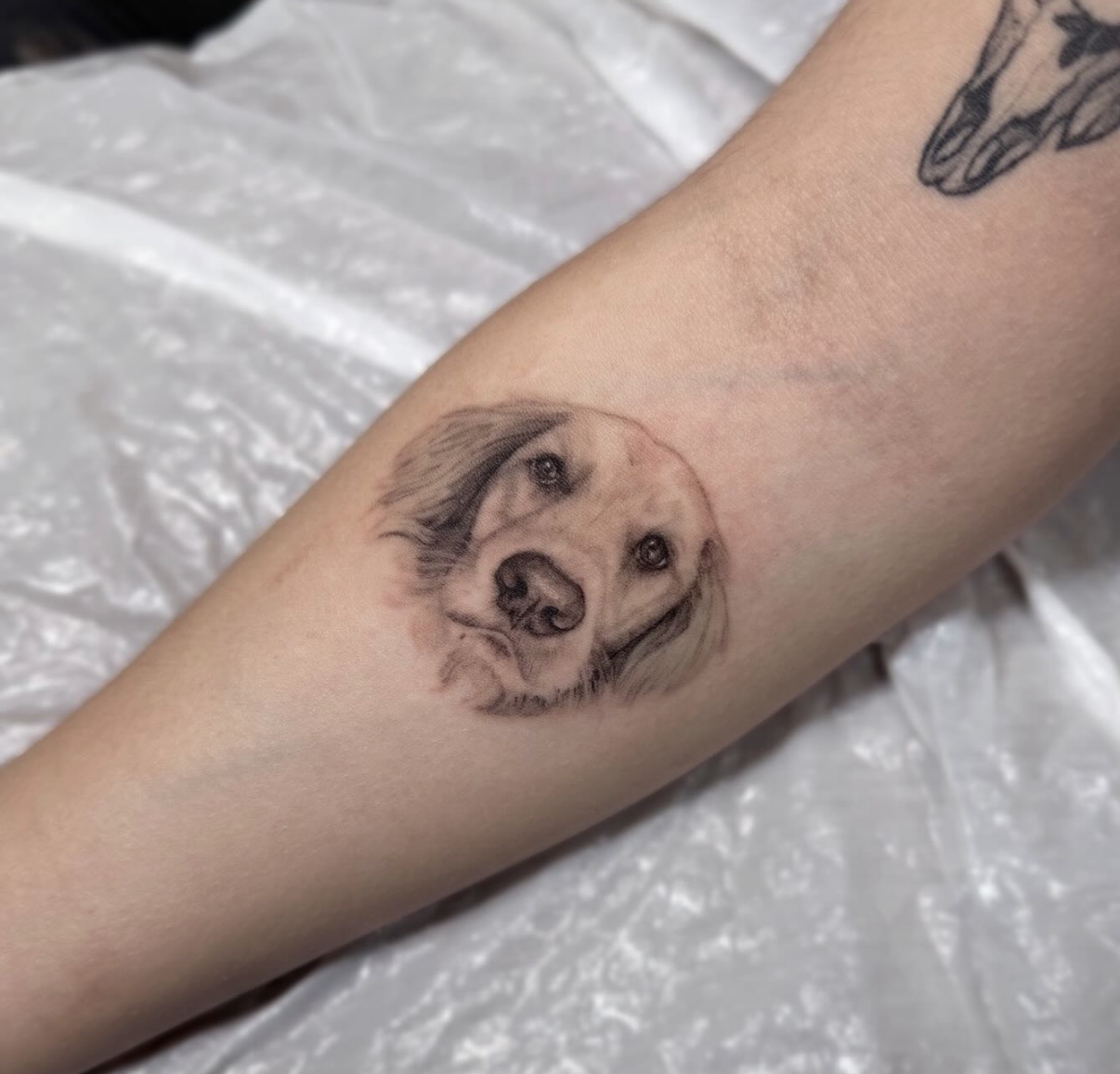 Dog portrait tattoo - esperanza ink tatoos.png