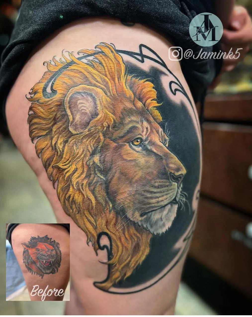 lion cover up .JPG