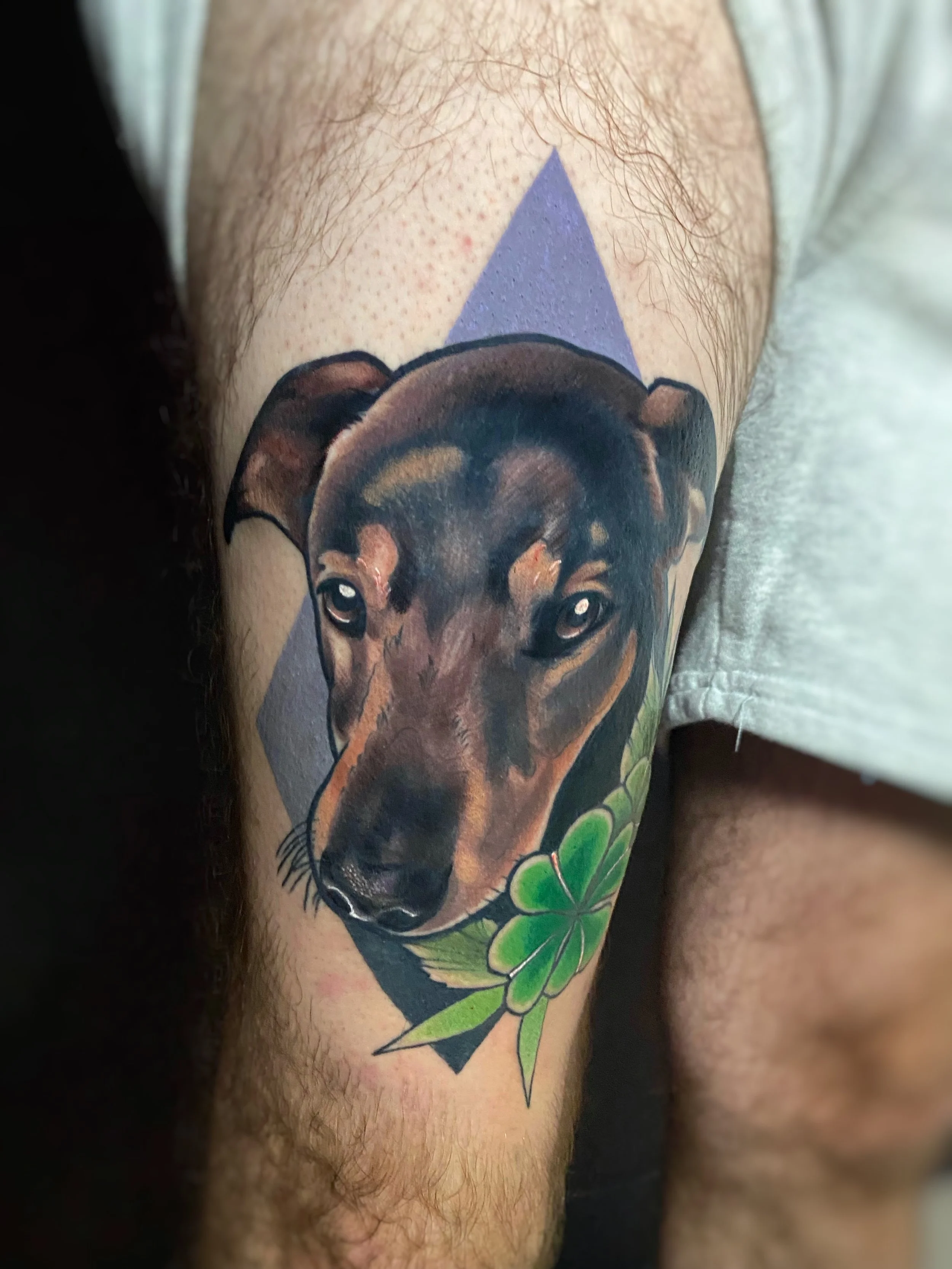 dog portrait.jpg