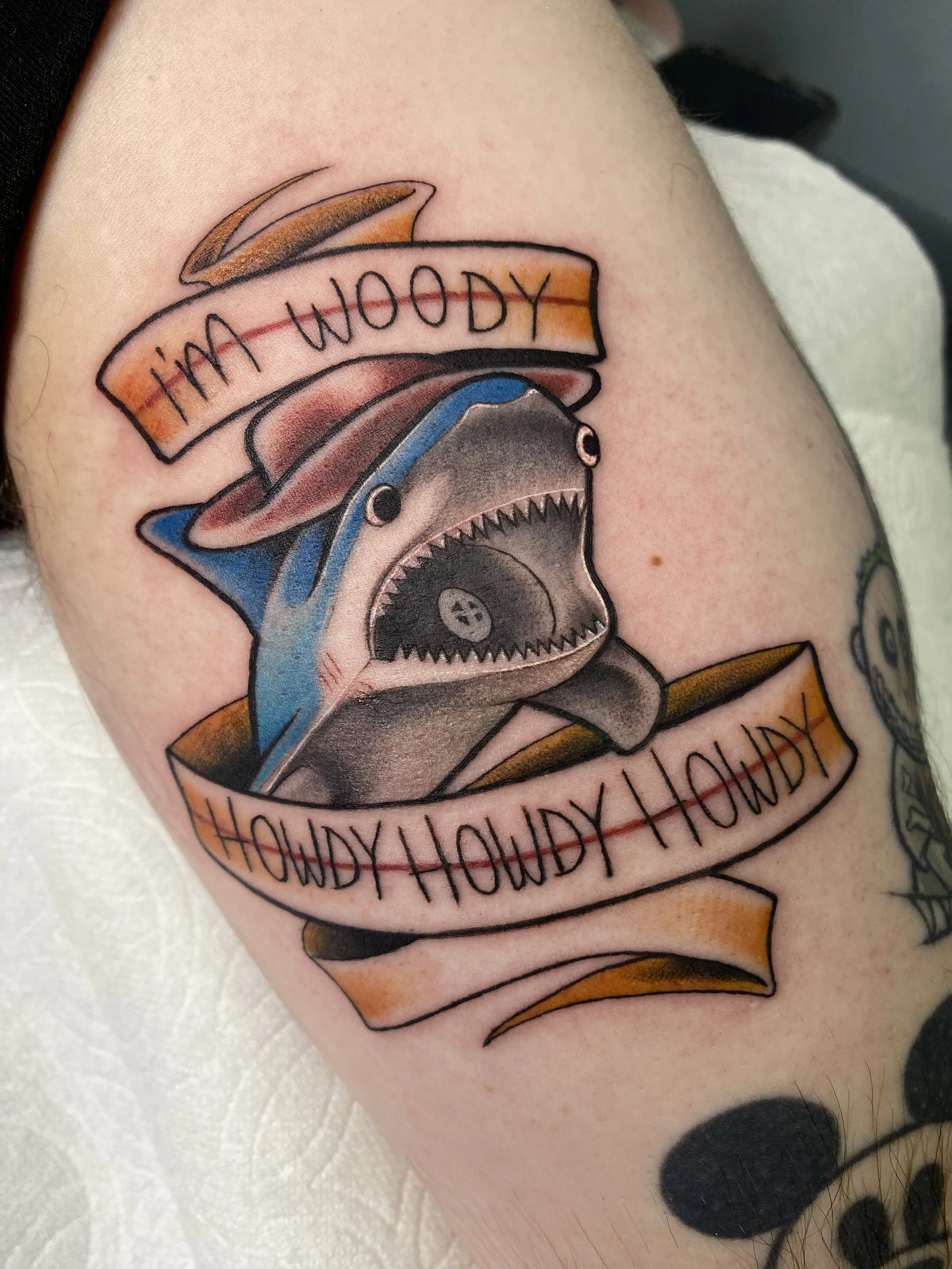 woody shark.jpg