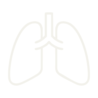 Illustration of human lungs in outline style.