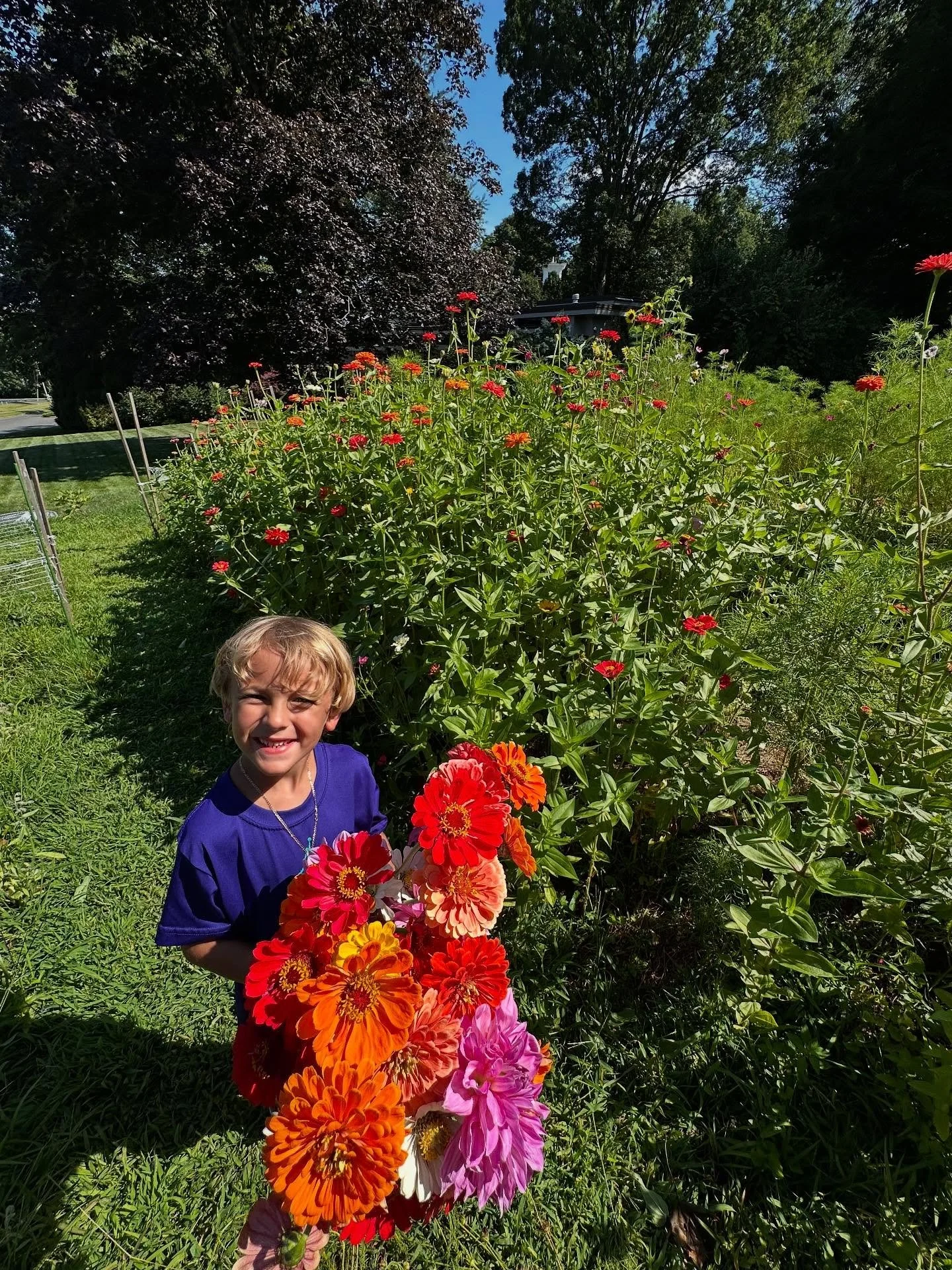 Little man, big flowers! 🌺