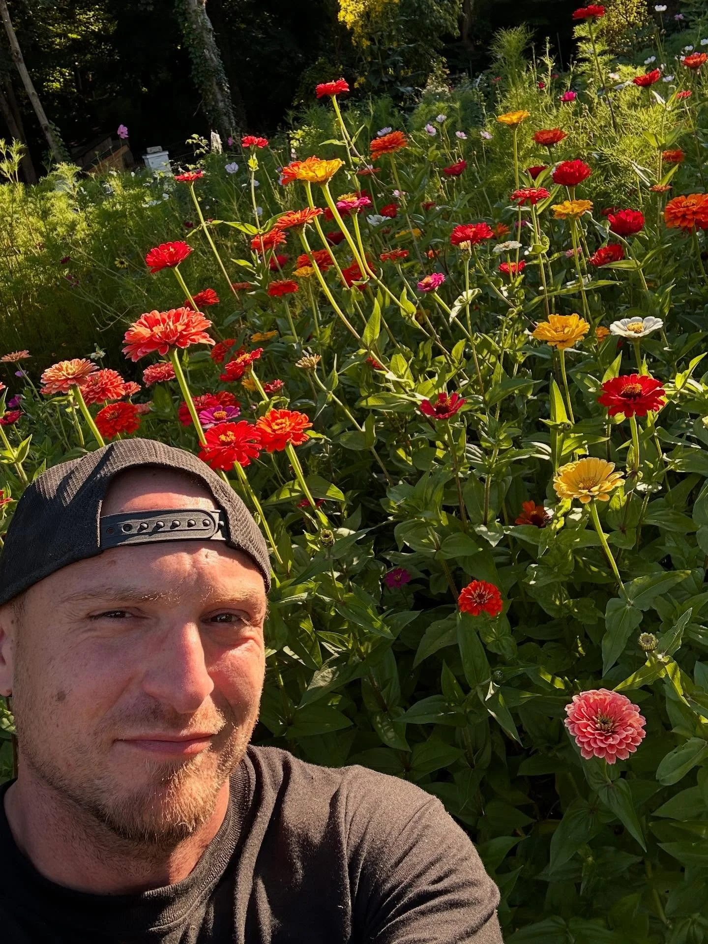 The zinnias are taller than me! #flowers #zinnias #honeybees #garden #pollinatorgarden