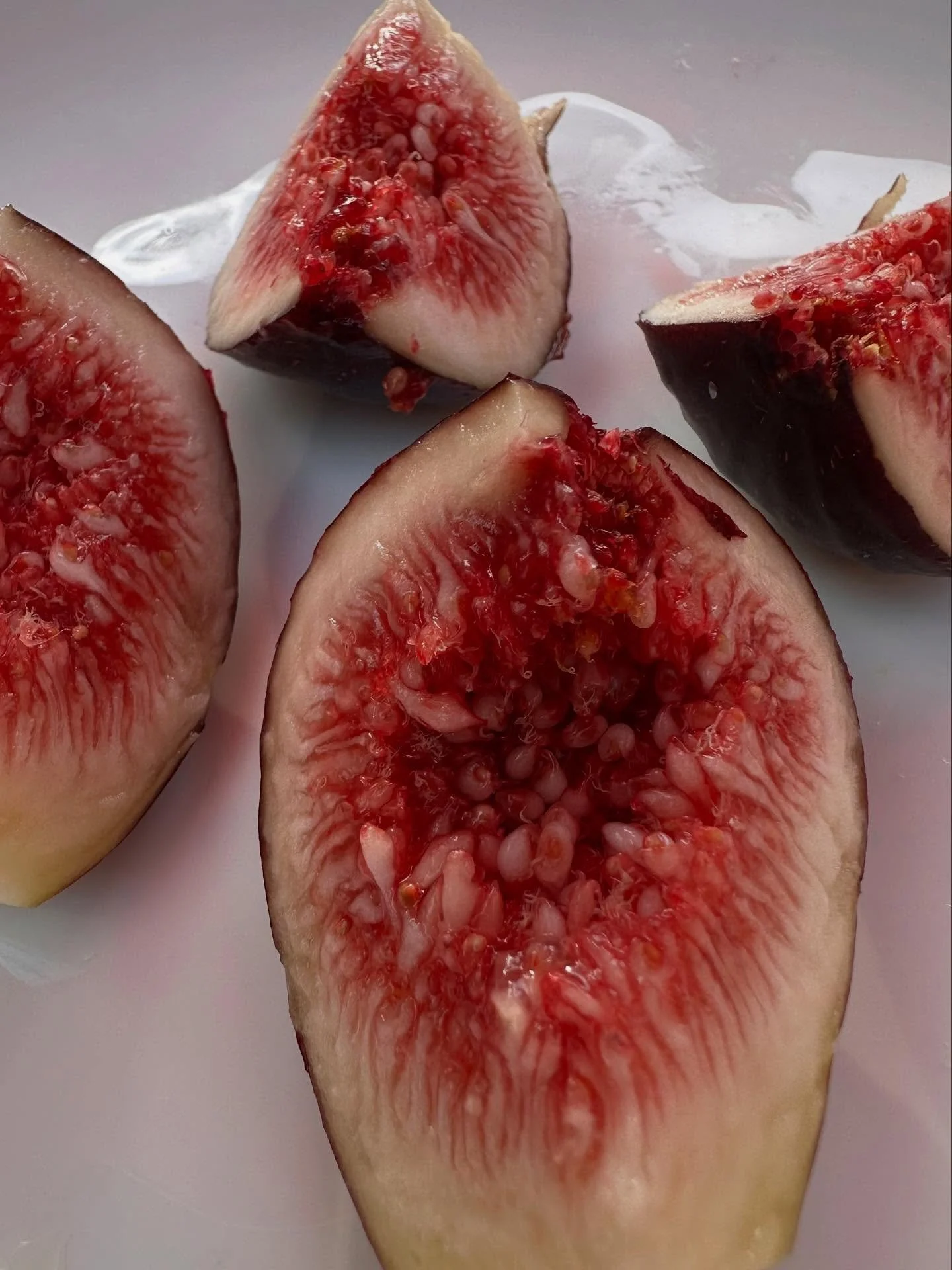 Fig from my &ldquo;Vern&rsquo;s Brown Turkey&rdquo;&hellip;
Cuttings will be available on the website in the fall!
#Figs #fig #figtree