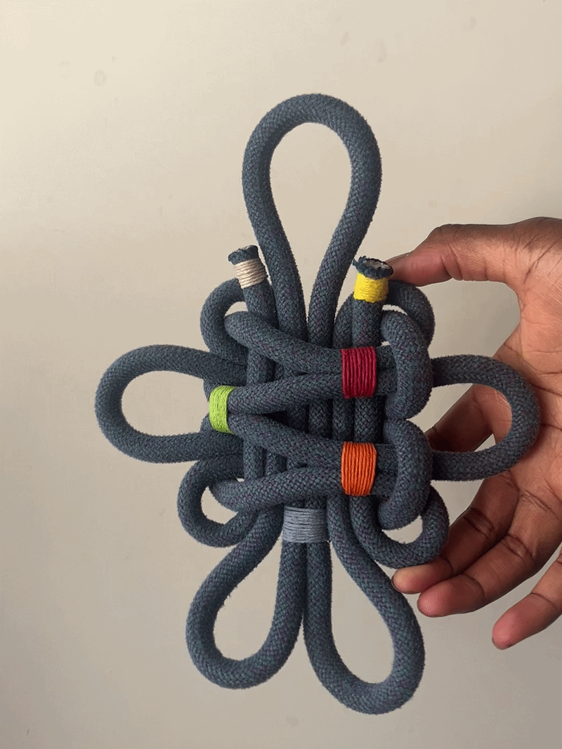 big knot rainbow.gif