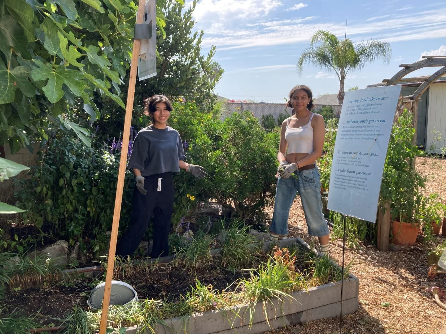 Climate Solutions Hub Helper - Garden and Site Maintenance 