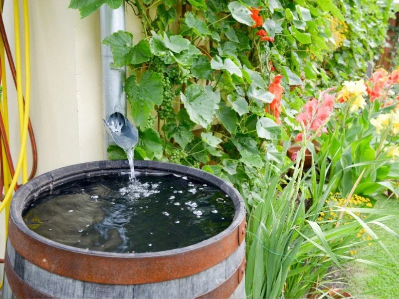 Workshop Volunteer: Rain Barrels and Water Harvesting - Mountain View