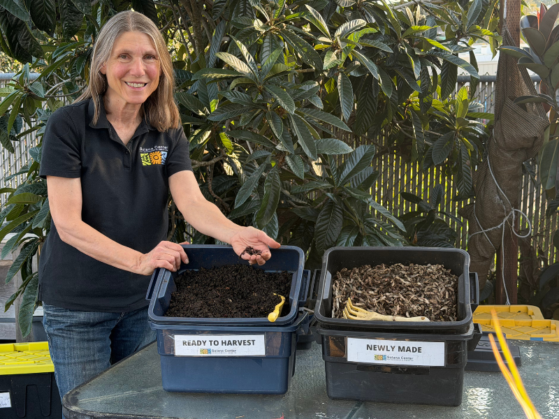 All About Composting With Worms Workshop