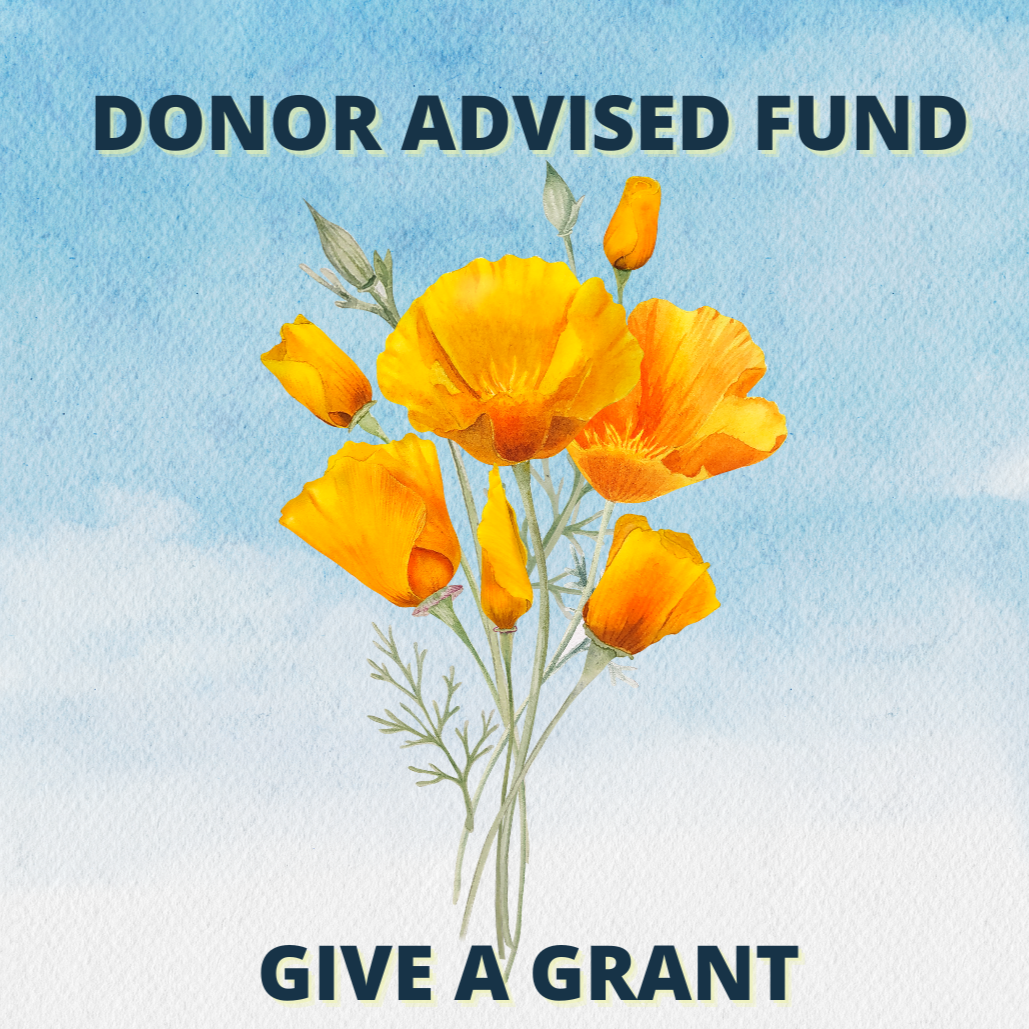 Watercolor illustration of orange poppy flowers with text "Donor Advised Fund" at the top and "Give a Grant" at the bottom.