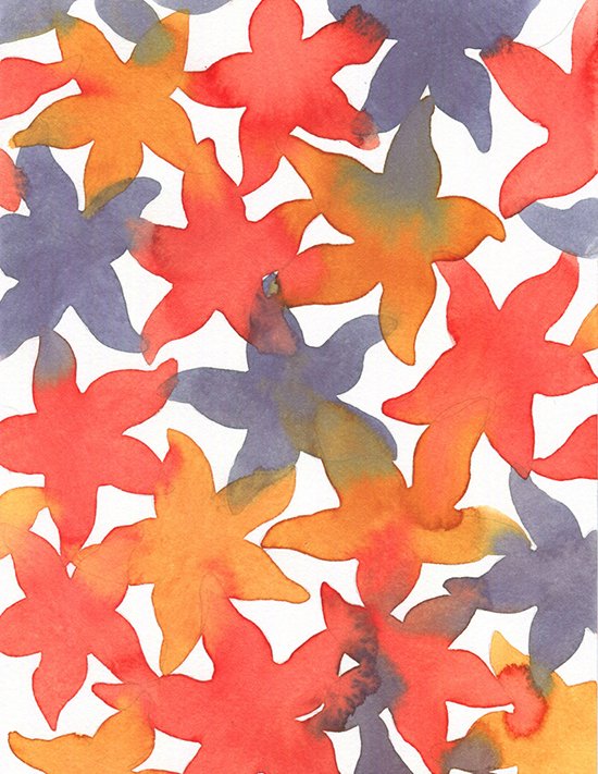 Carol_Lelivelt_Starfish.jpg