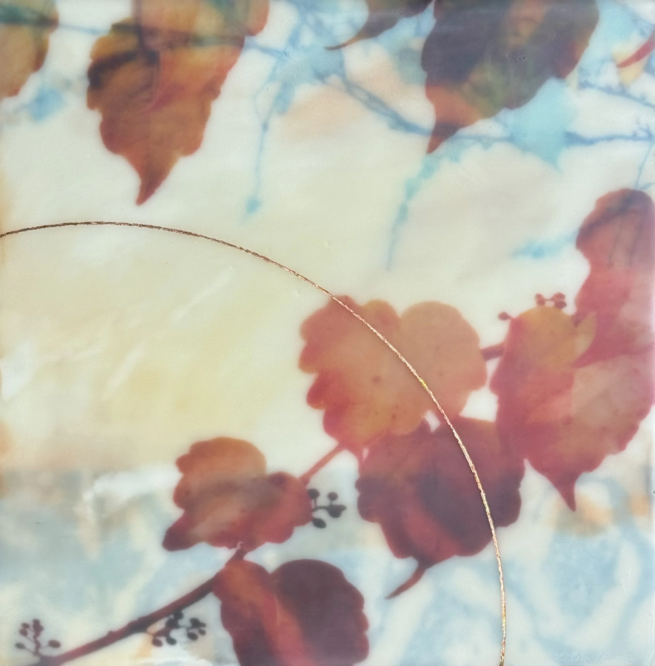 Lelivelt_Grape Vine 4.jpg